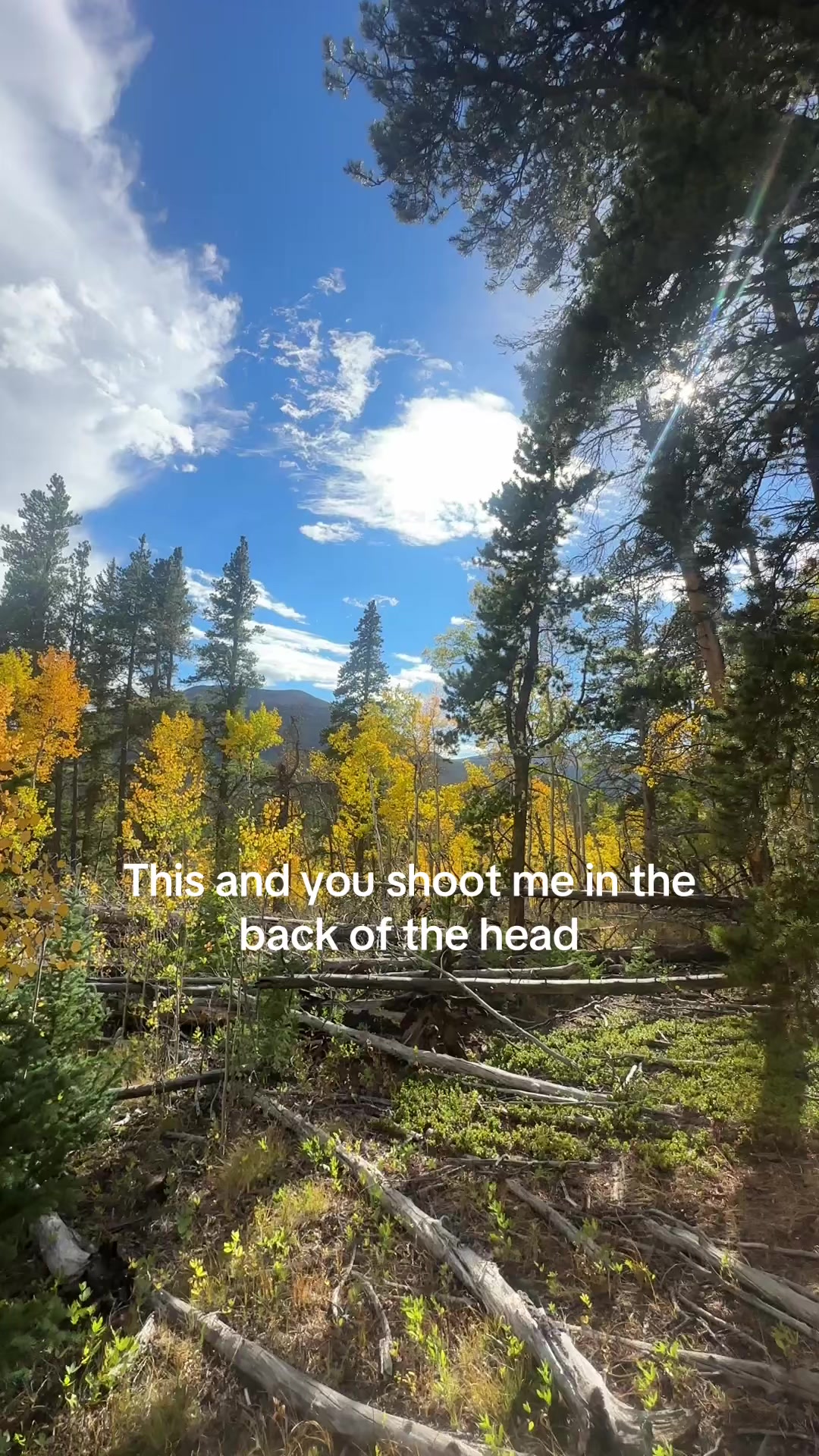 @Shiidekmann
