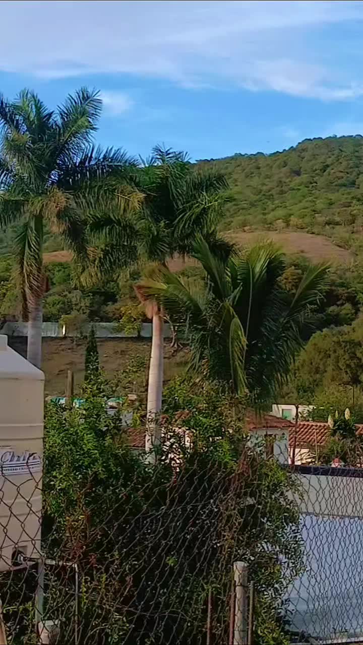 @guadalupemendez668