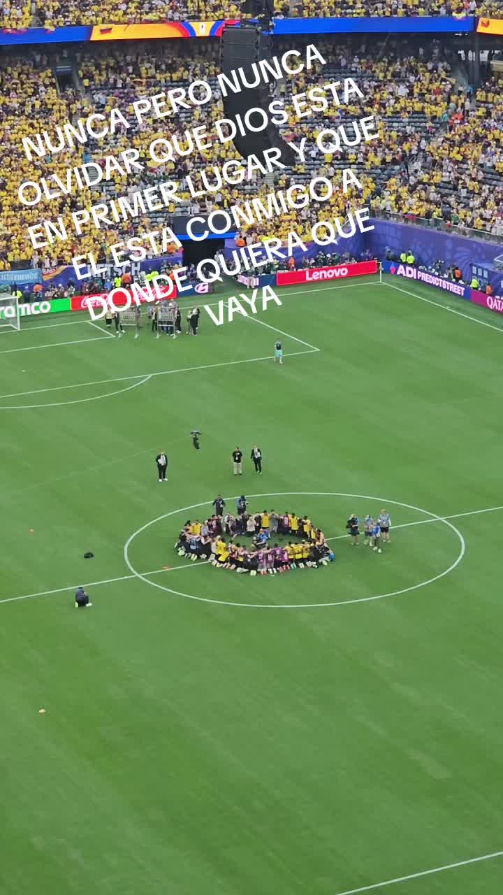 @Tiny Chihuahuas