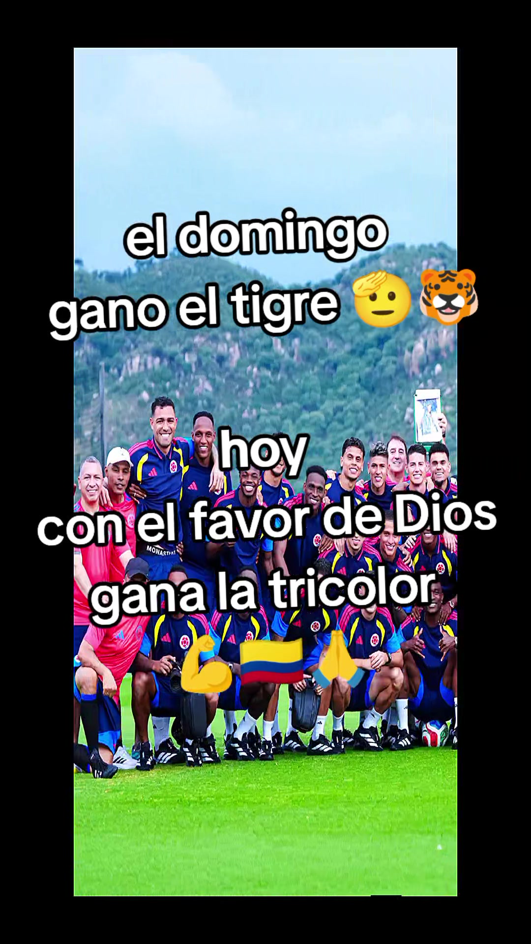@❤️Ynis🐾