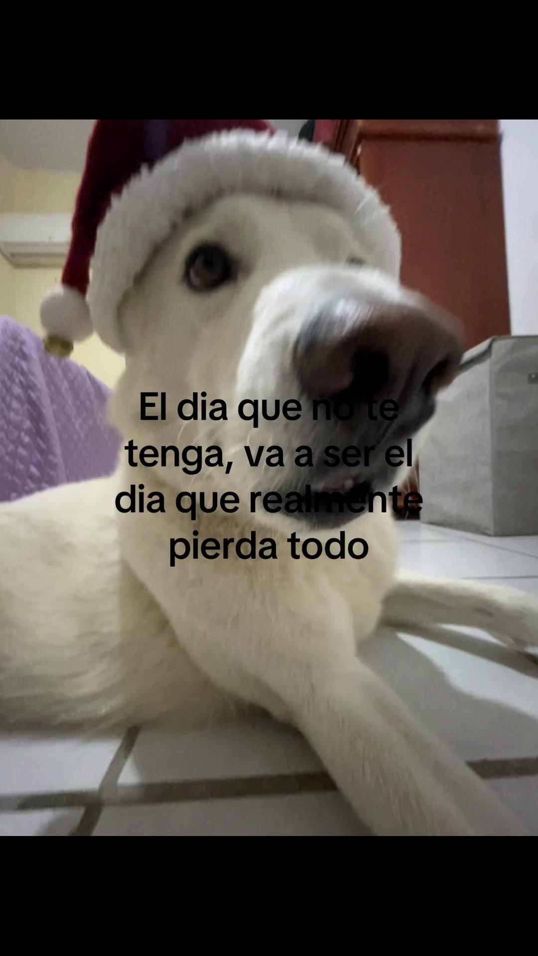 @prisilaa.flores