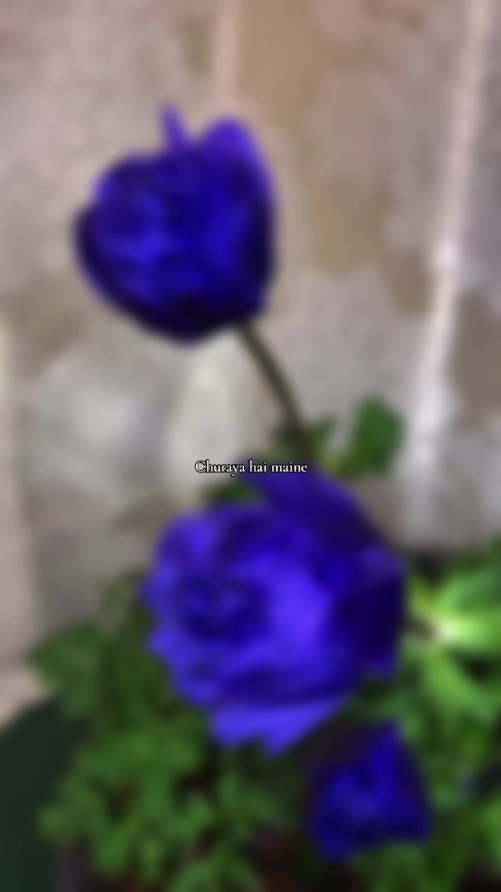 @touchsignature