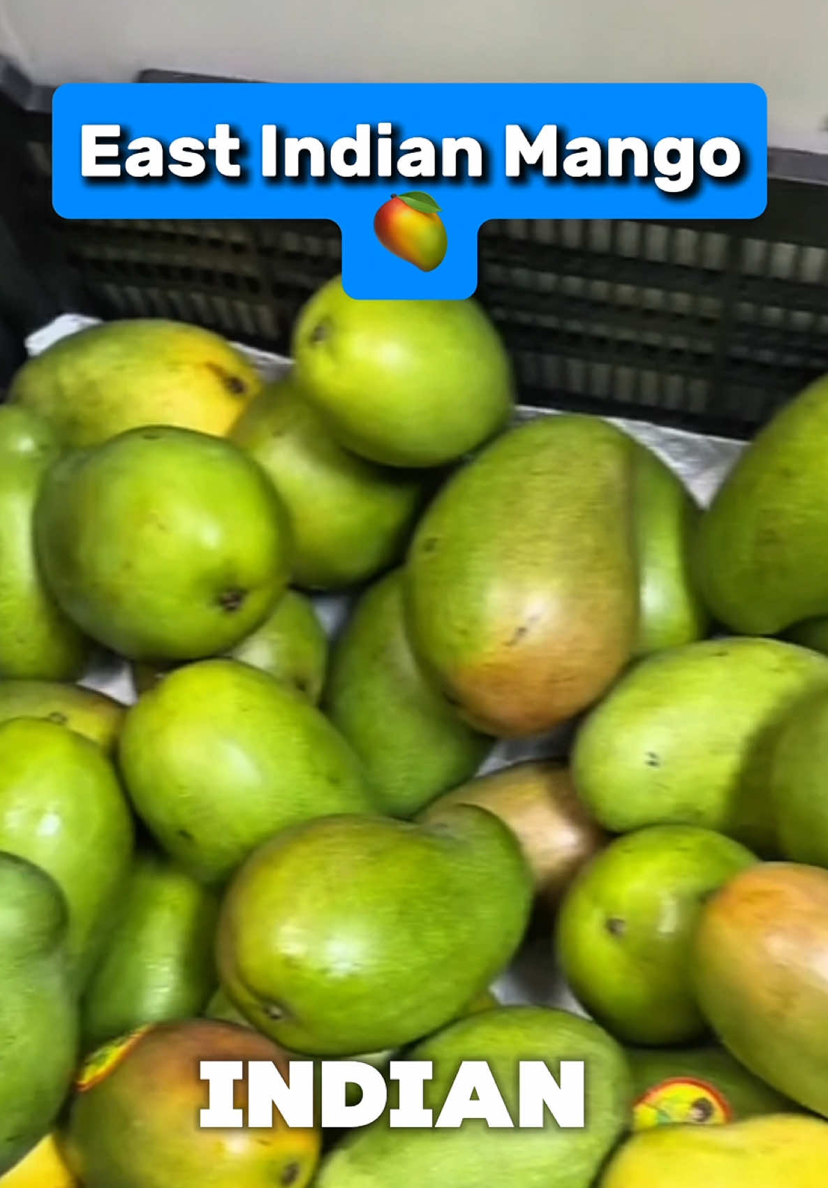 @alliswestindiangrocery