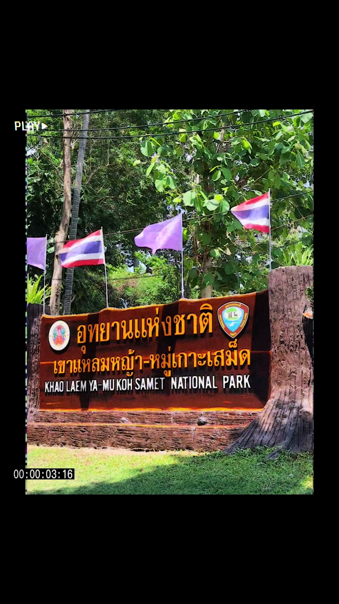 @Nannipak_studio