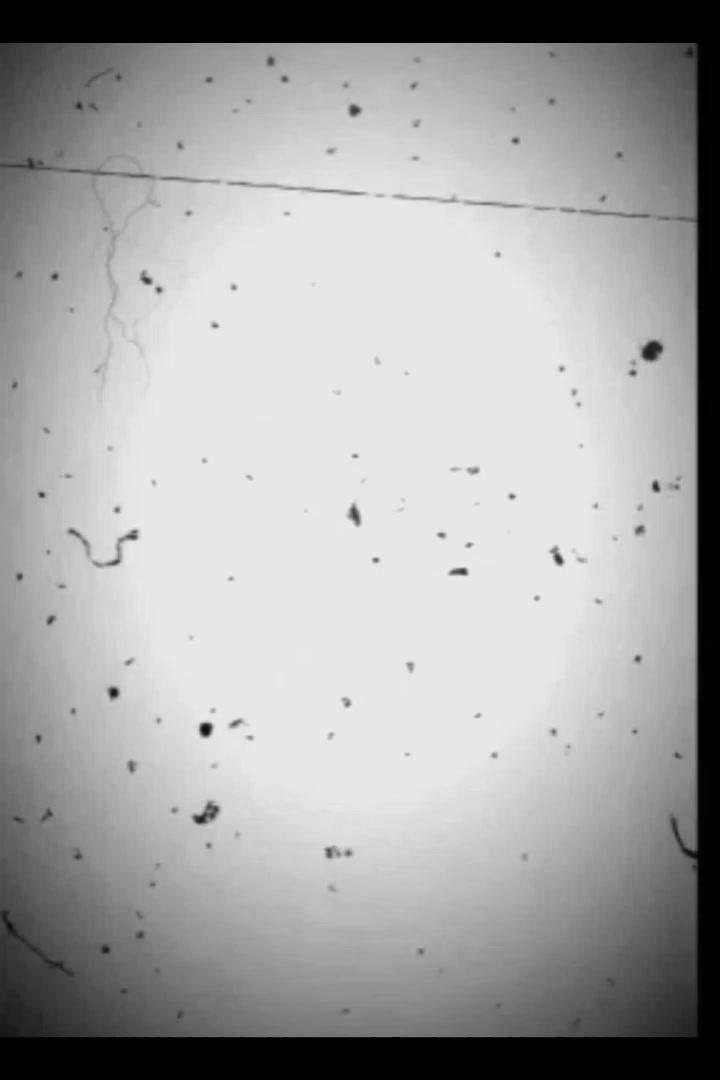 @শেষ পৃষ্টা