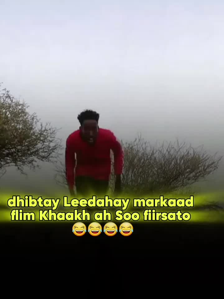 @cirshidawi