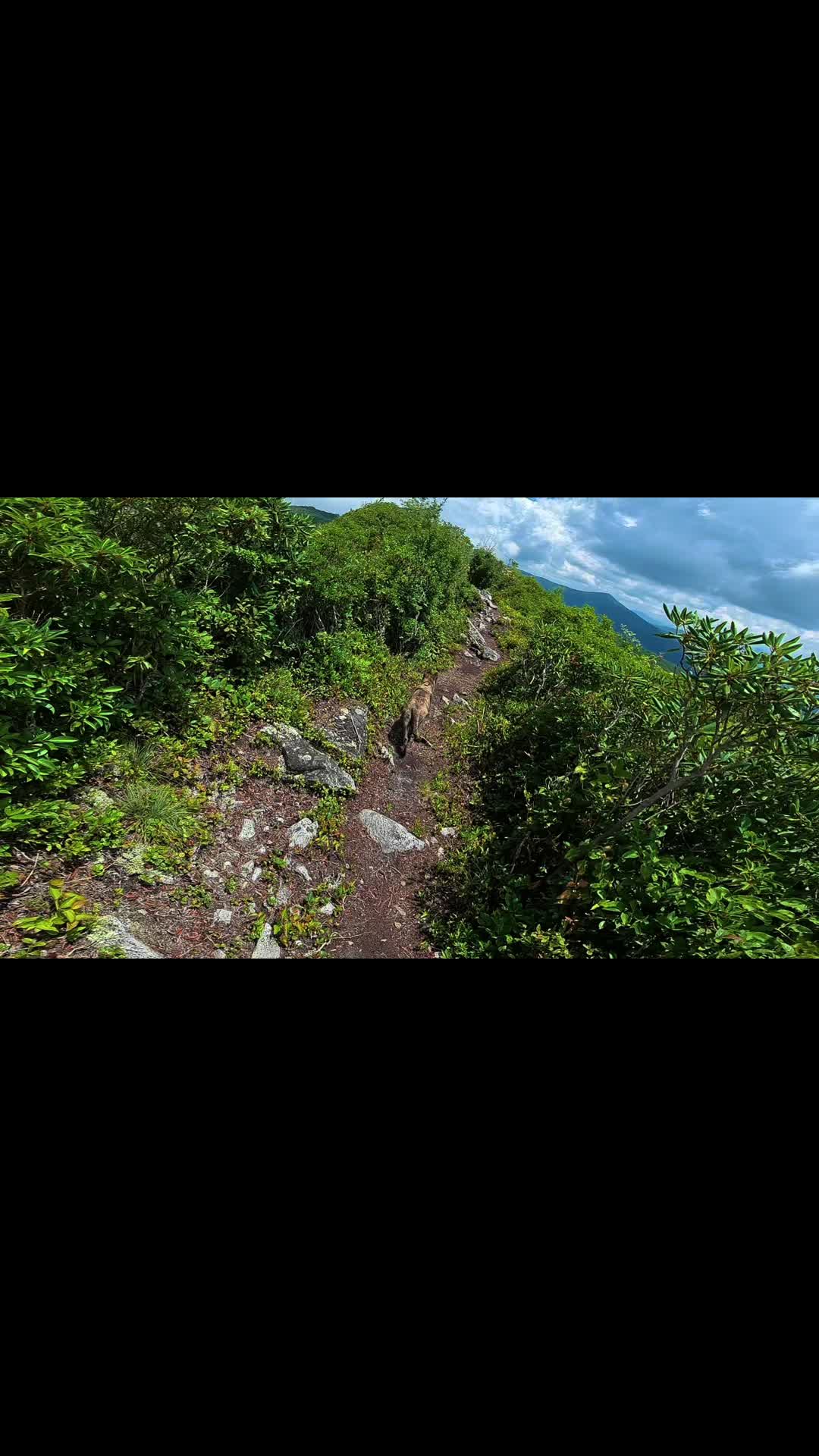 @Nature junkie