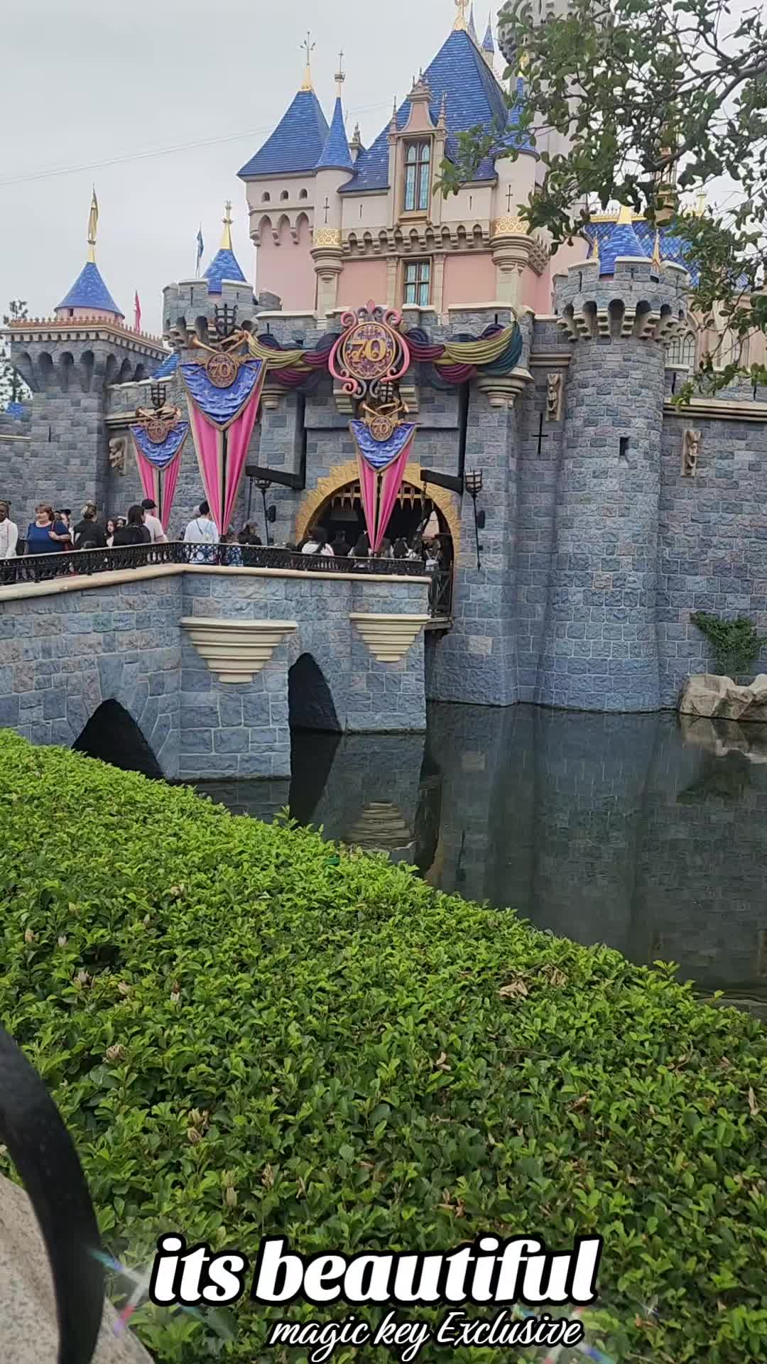 @dragonkatflower