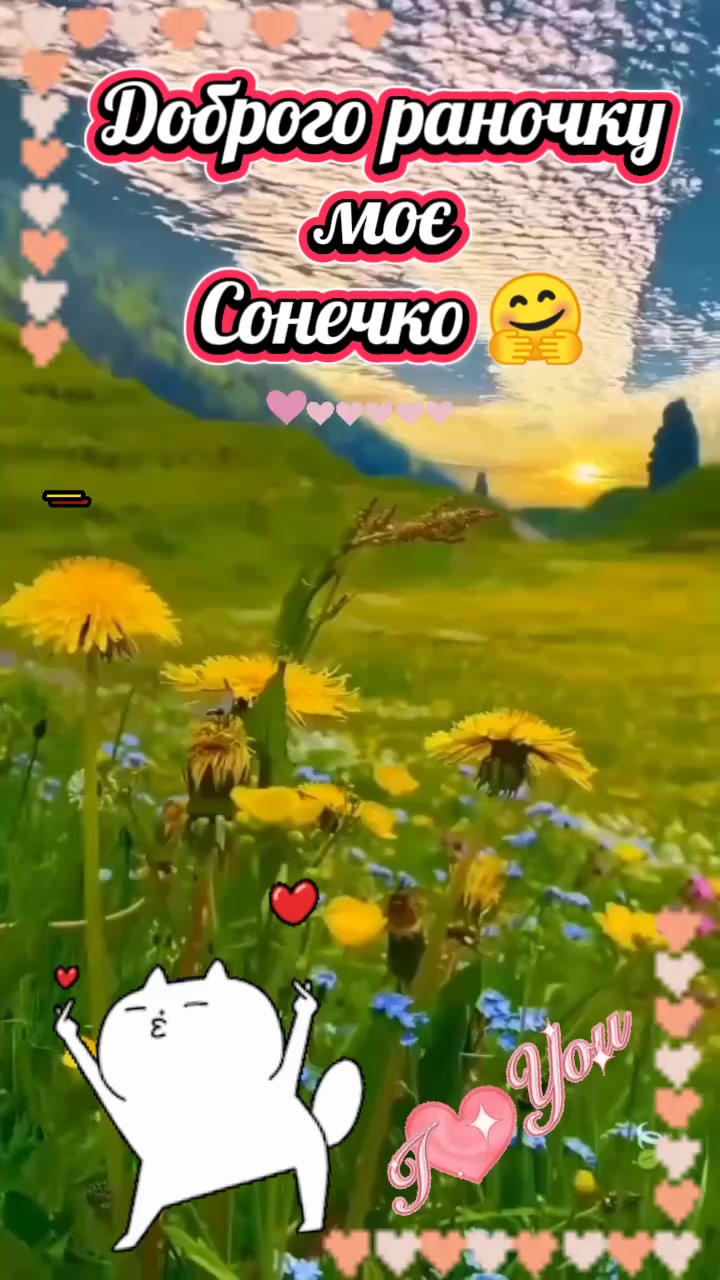 @🇺🇦 СВАХА 🇺🇦