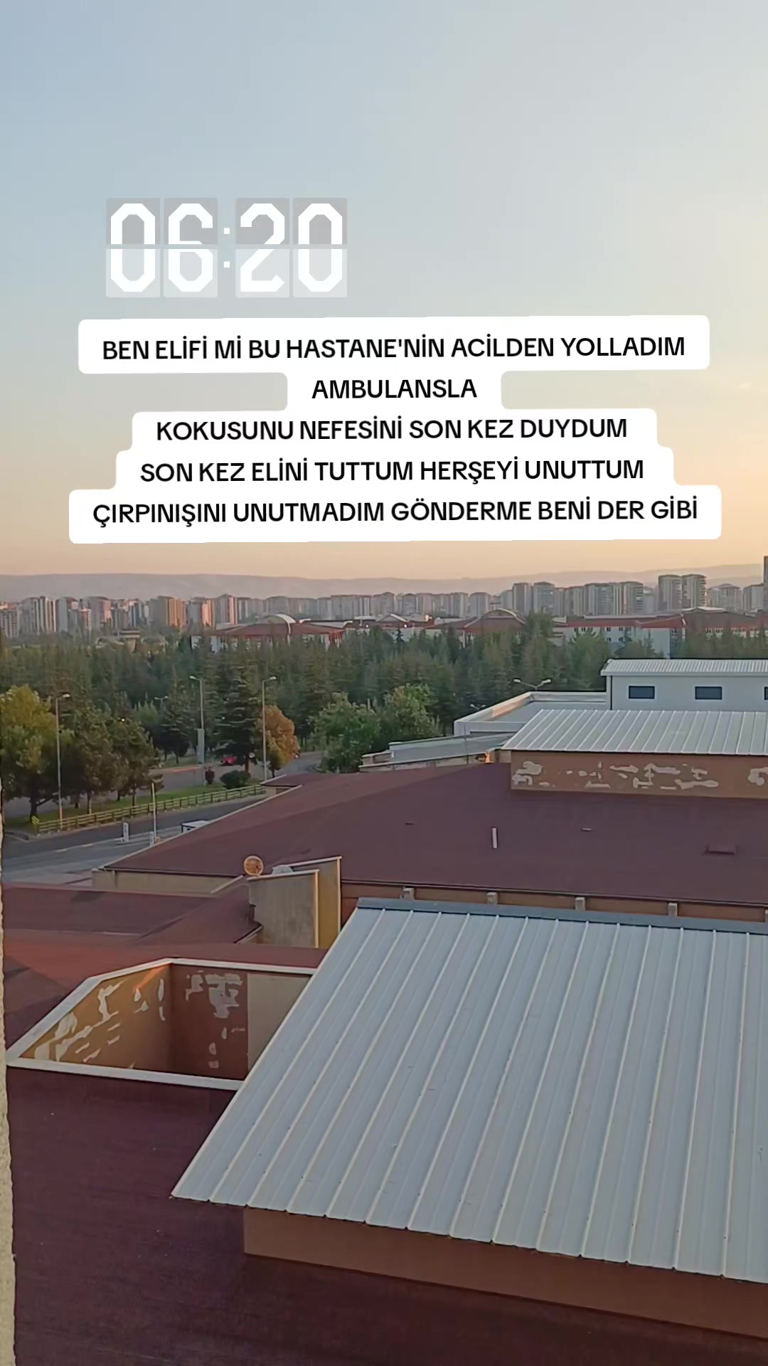 @zesegu38