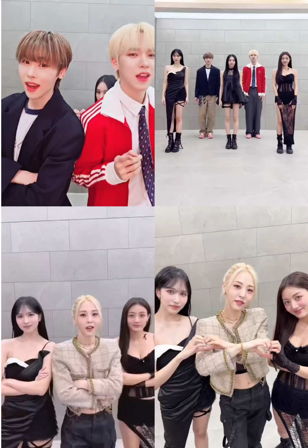@MOMO