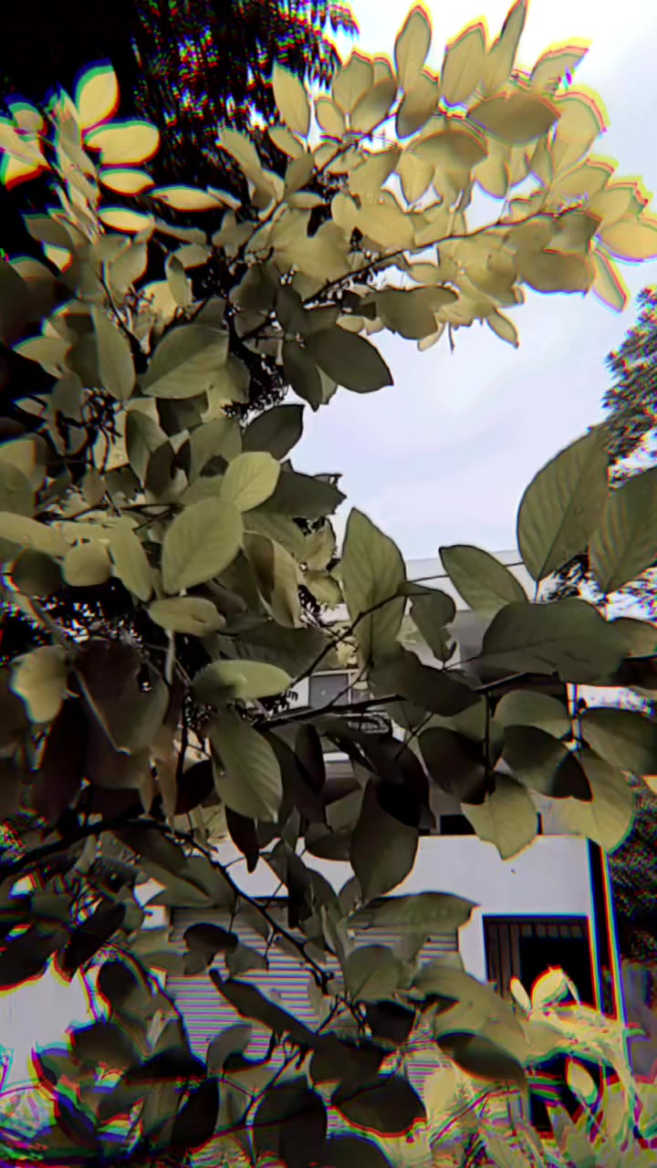 @Nandika Dananjaya