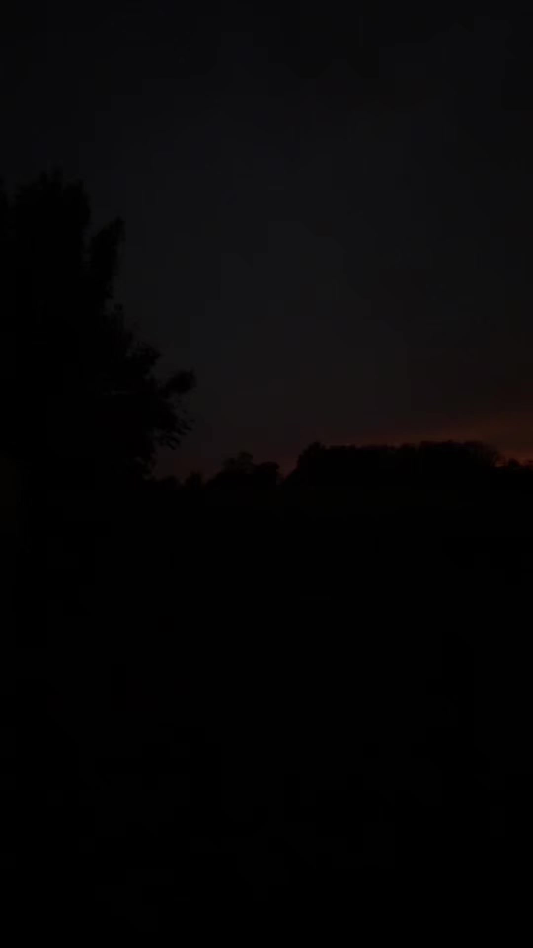 @444light3