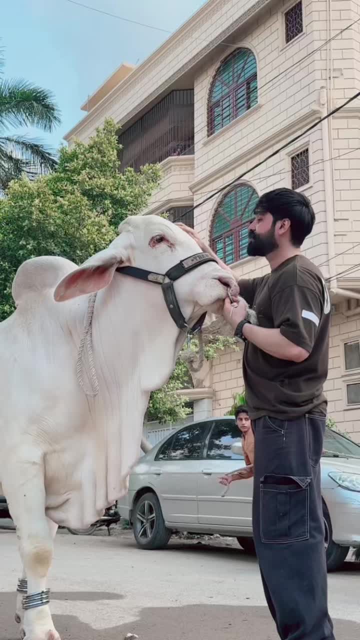 @SuFi Rasheed,,