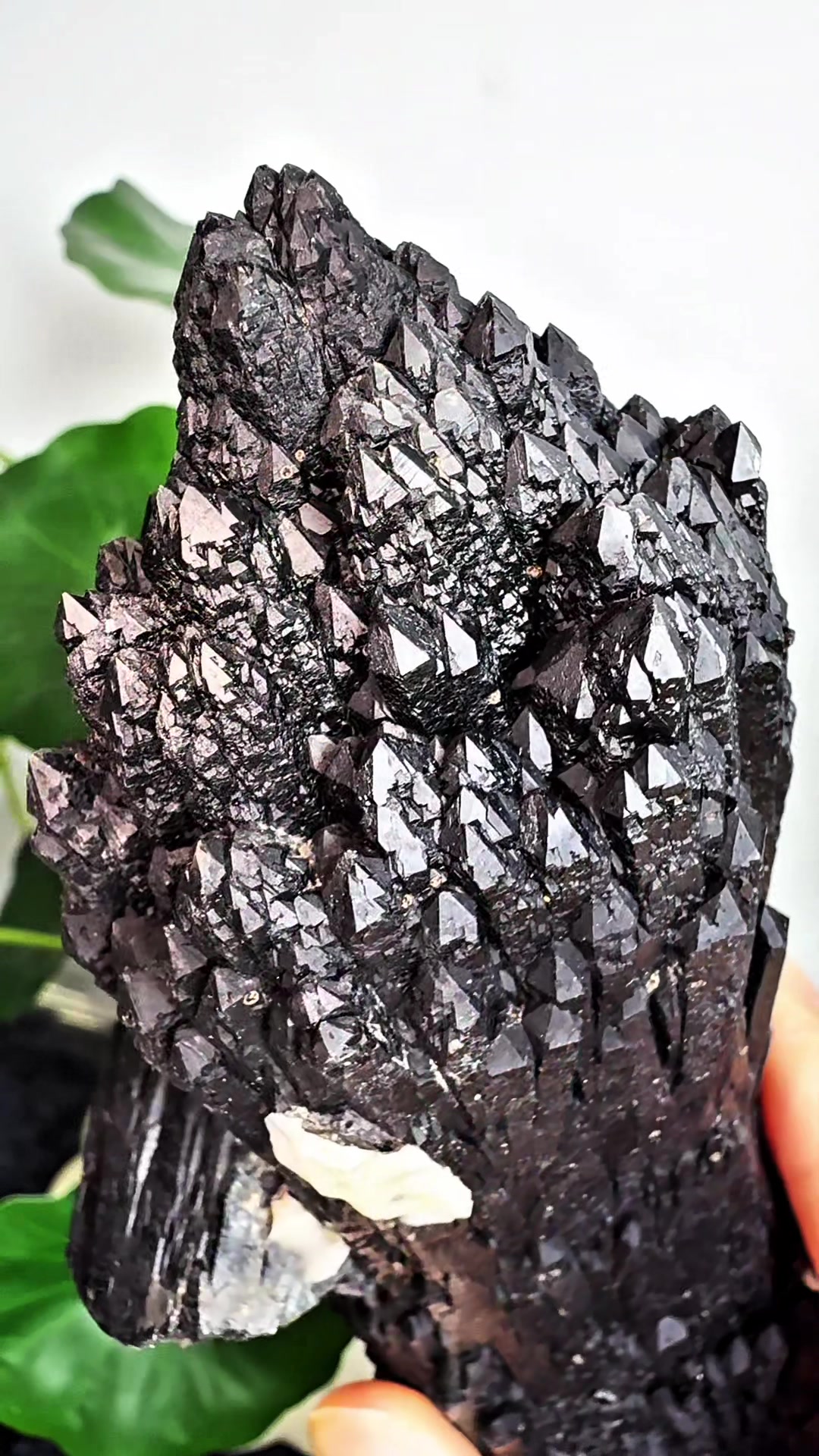 @Cherished Minerals