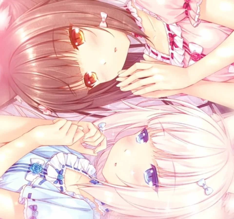 @猫 ෆ