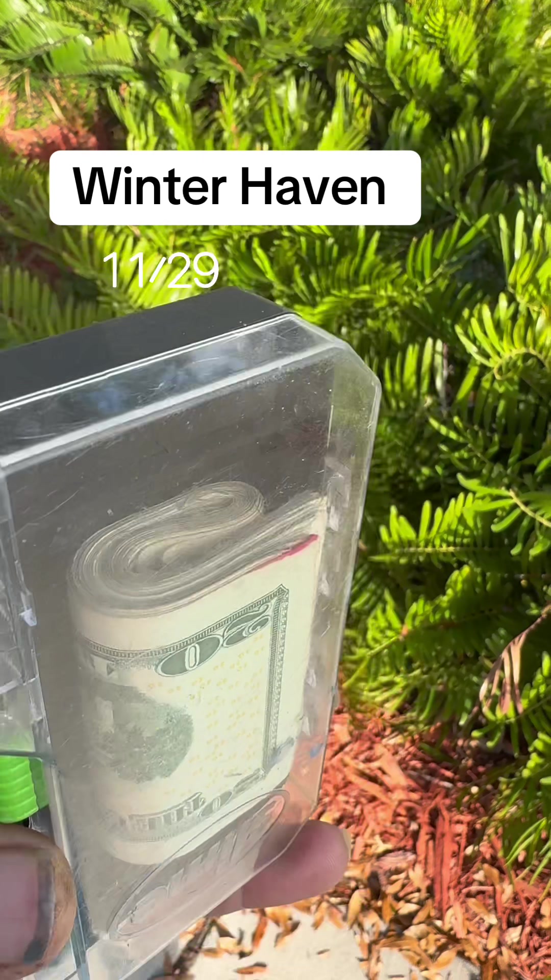 @tampacashstash
