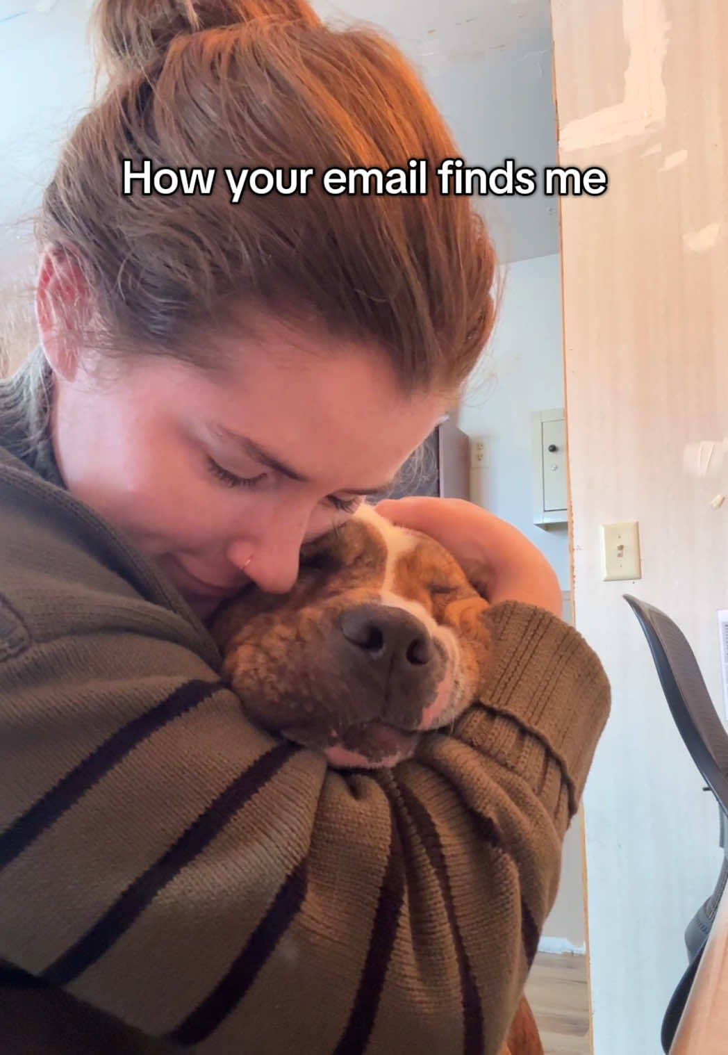 @sftsanimalrescue