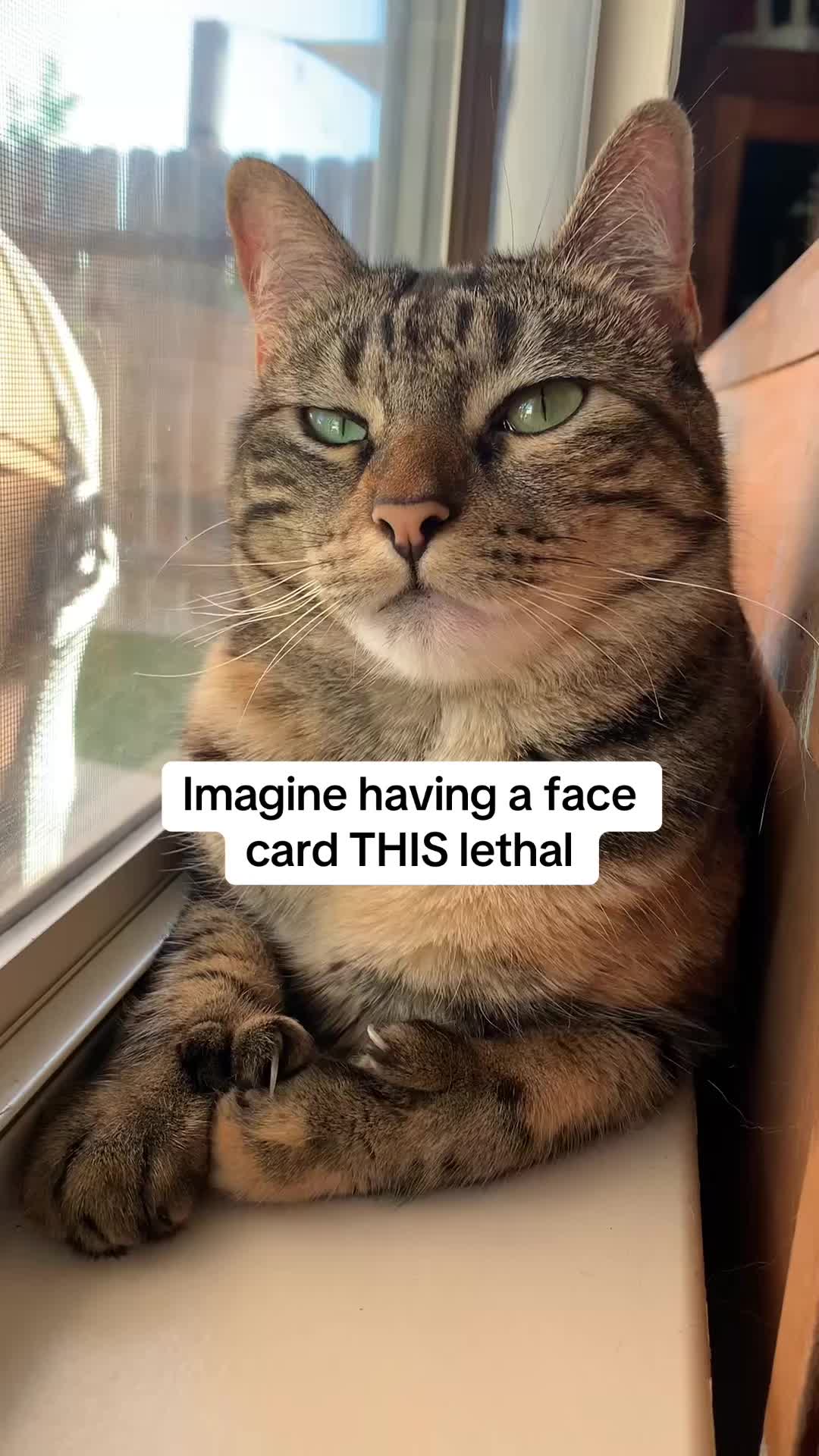@mangosnickerskiwi