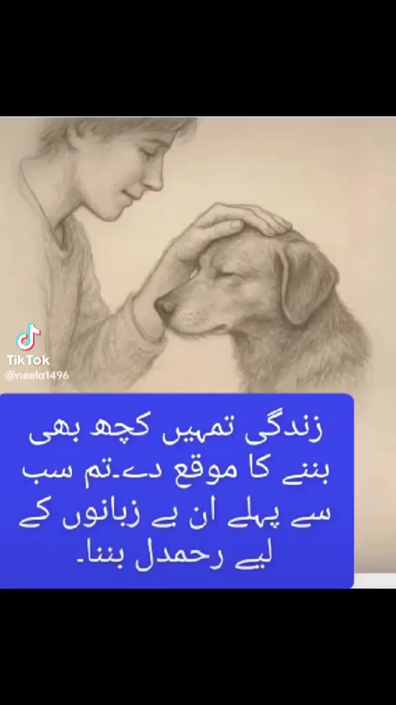 @Abdullah