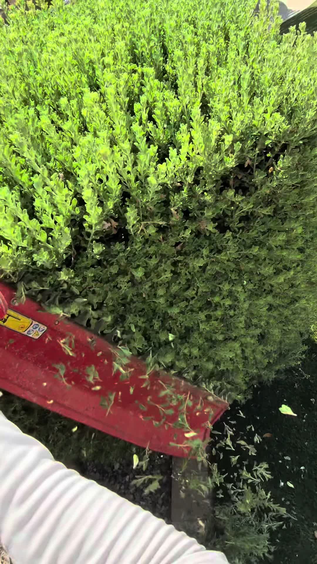 @landscaping