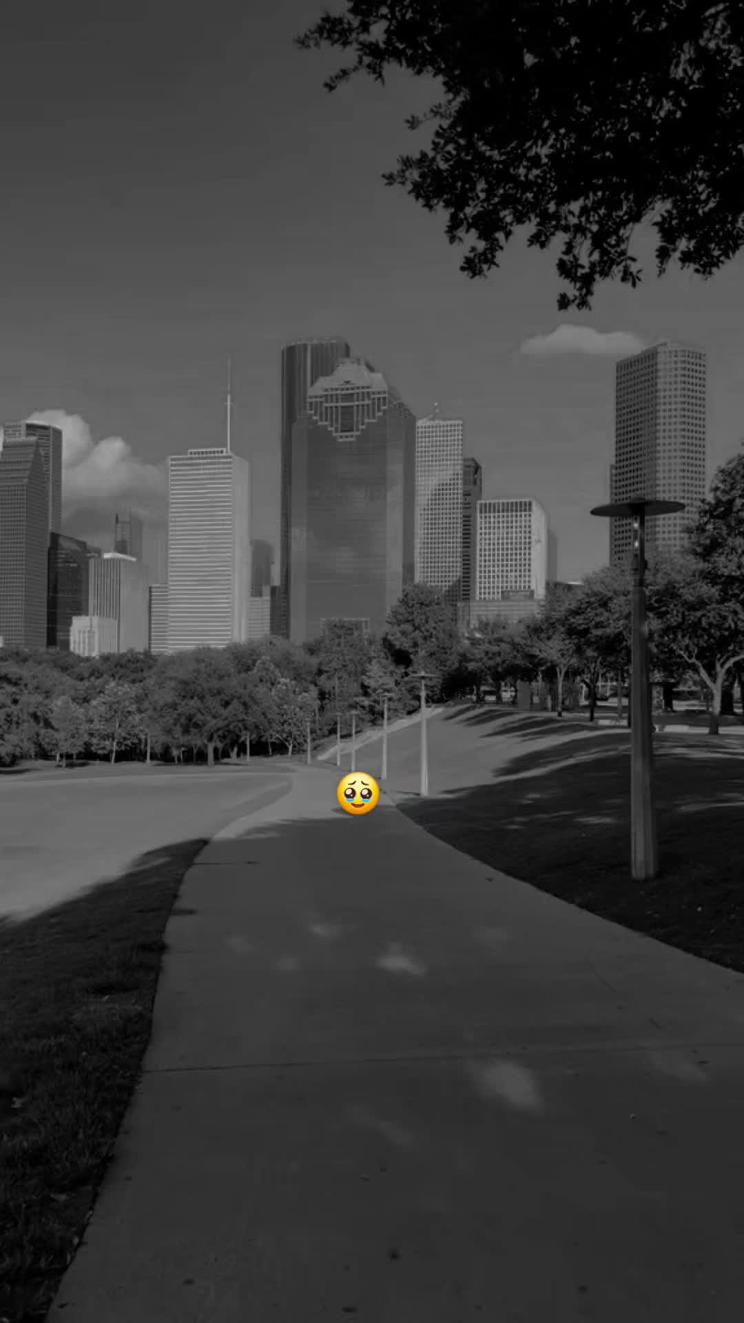 @🕸«Hache»🕷