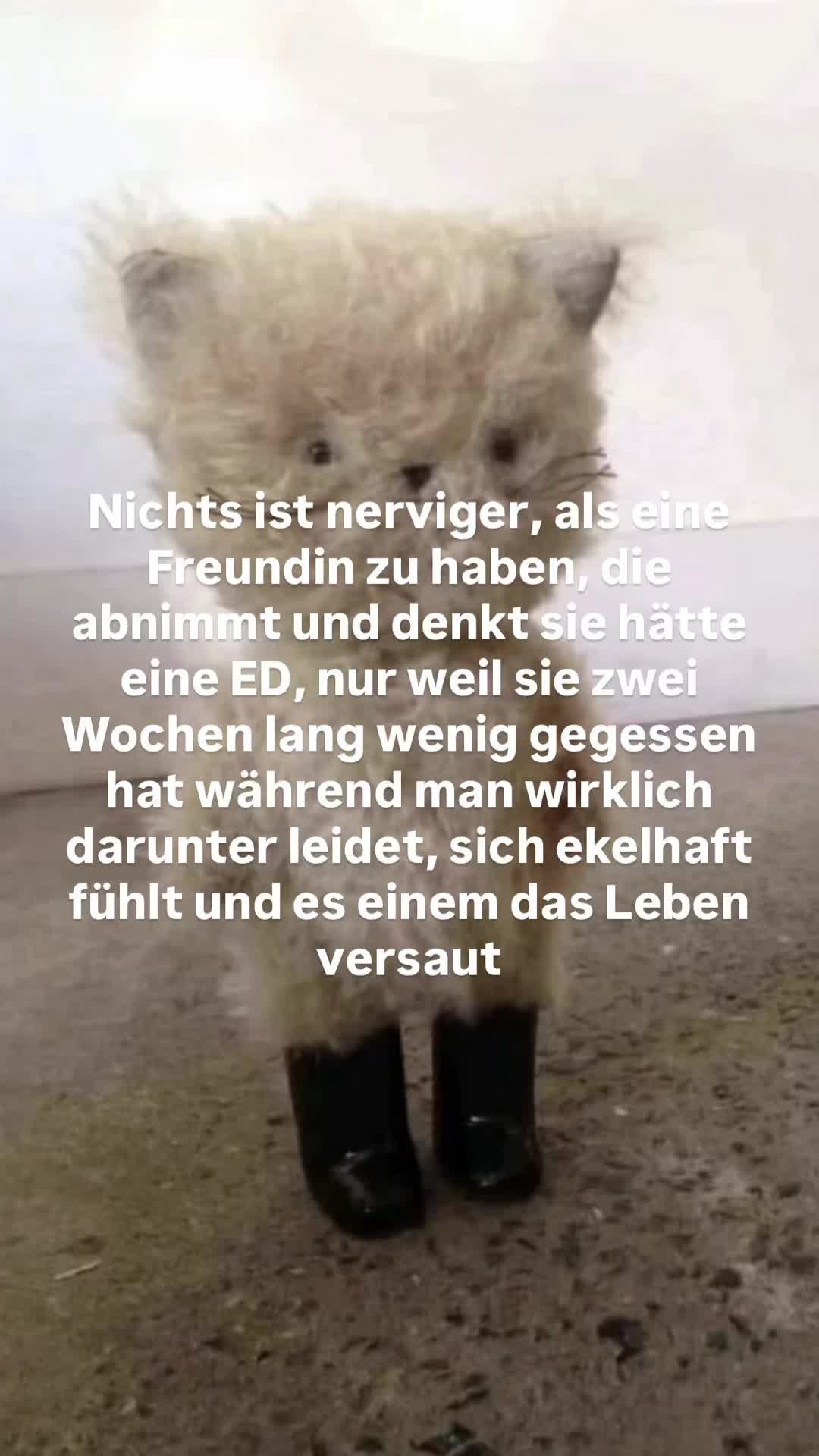 @Pipigoat