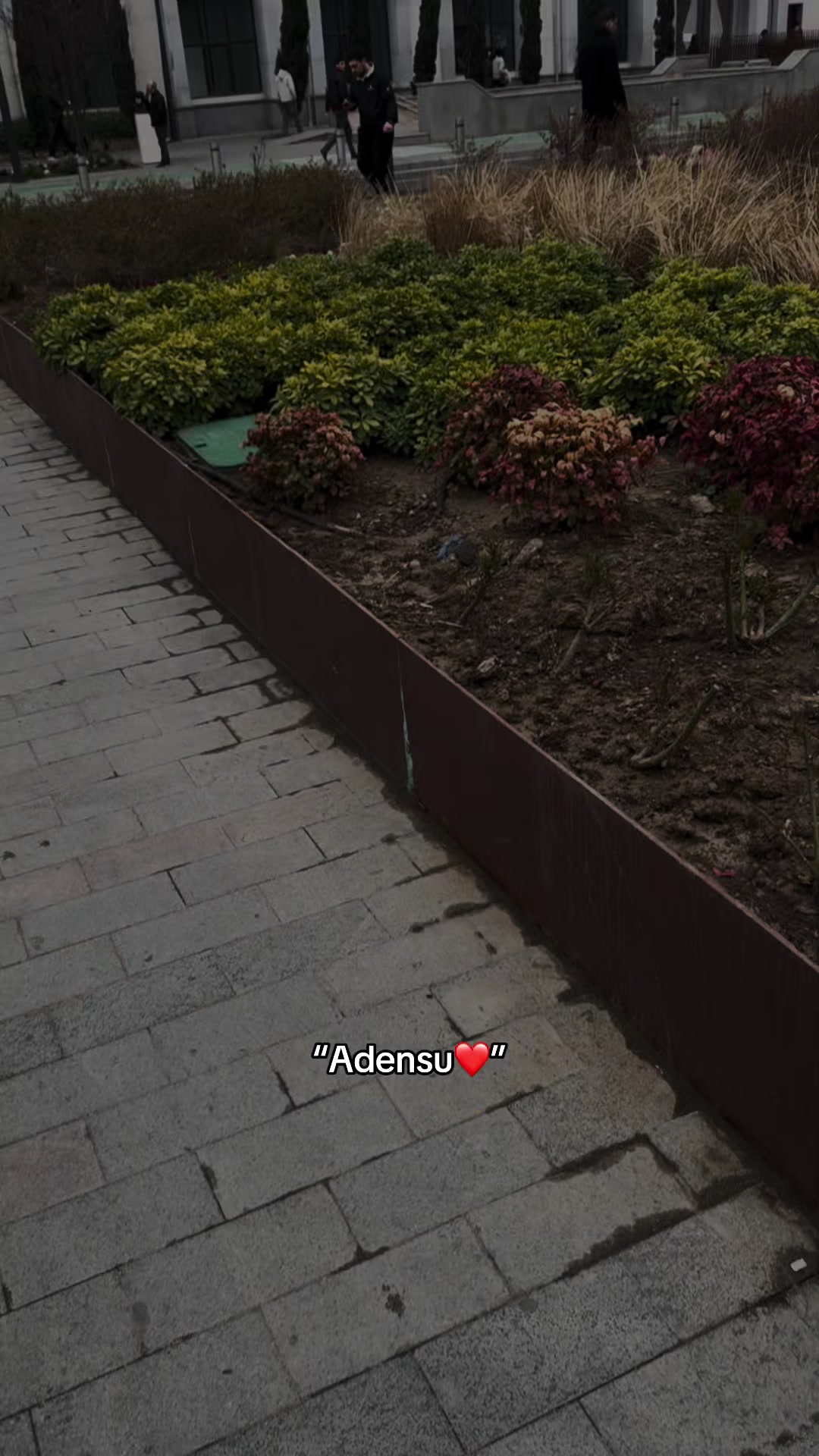 @𝓐𝓶𝓲𝓷𝓭𝓲