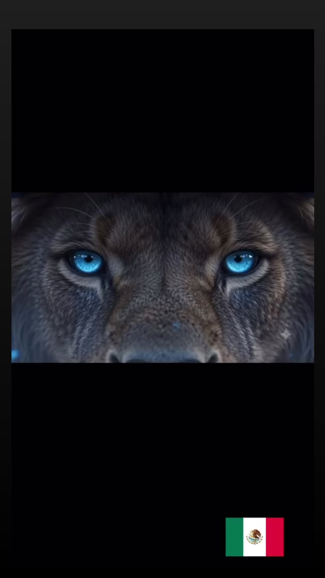 @ThinkBlue ⚾️💙🐹