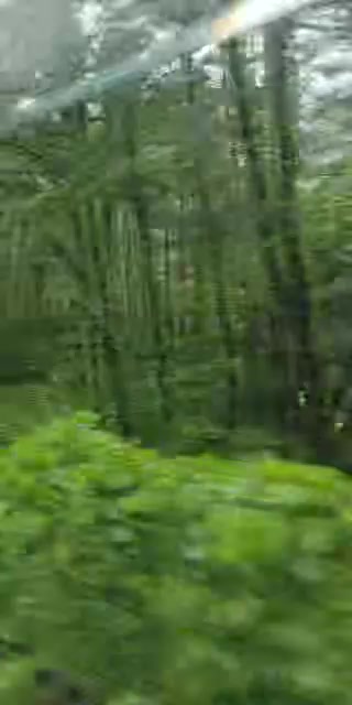 @커피향