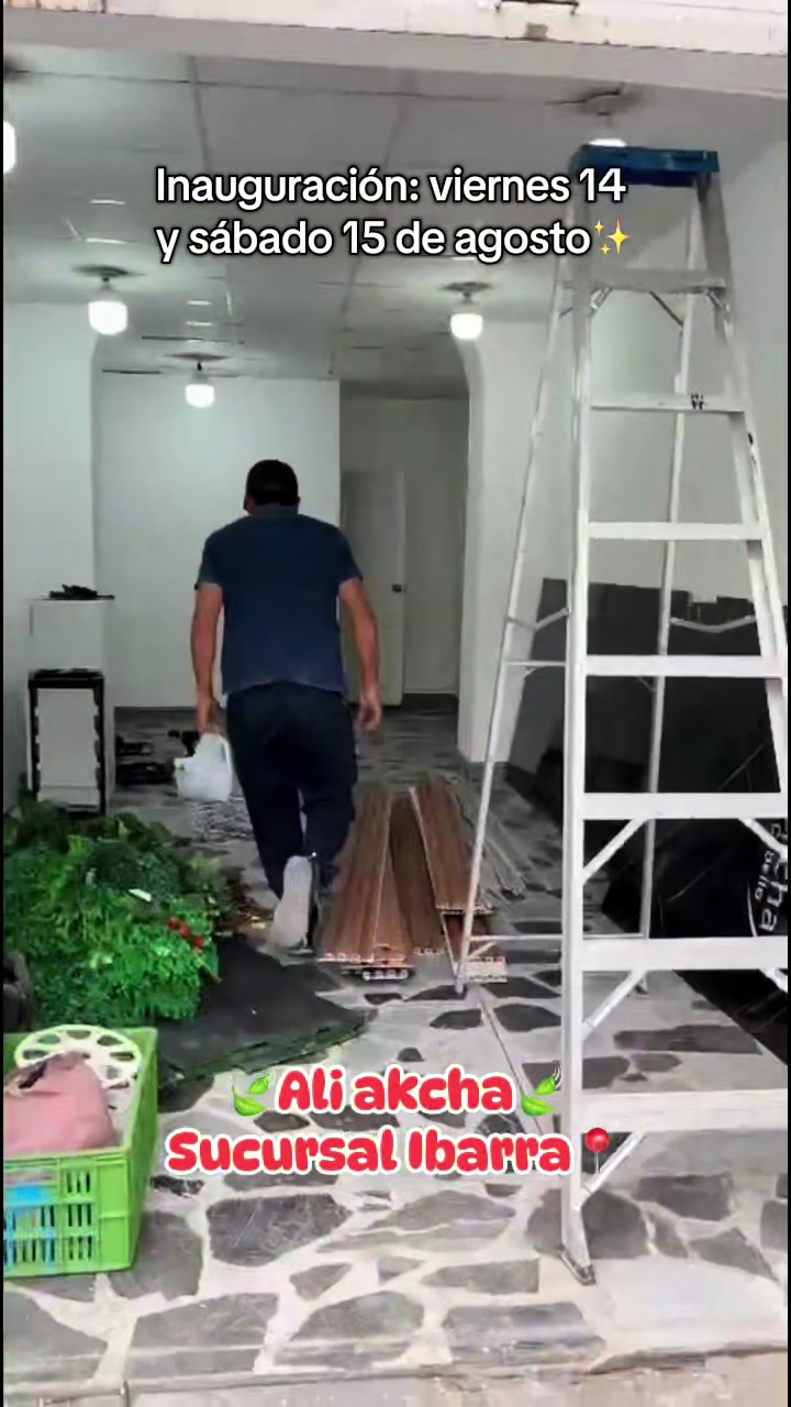 @ali.akcha