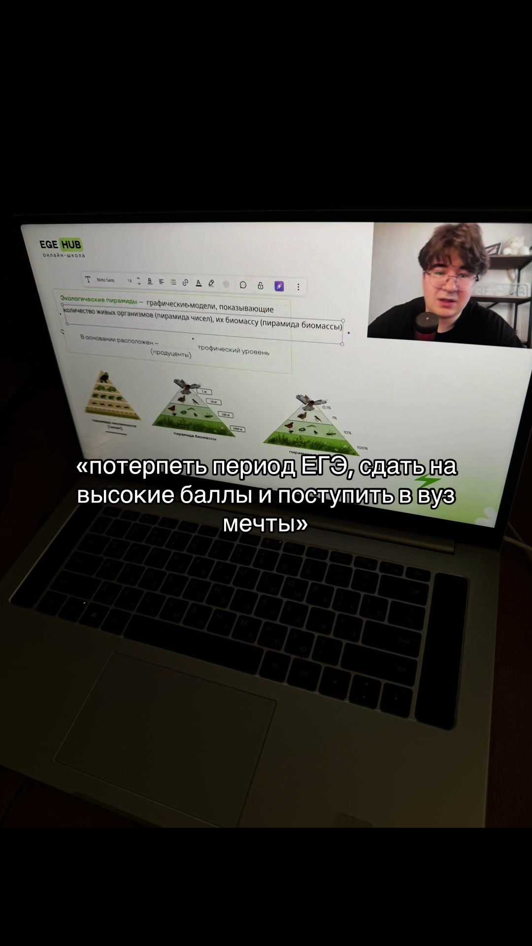 @yayga