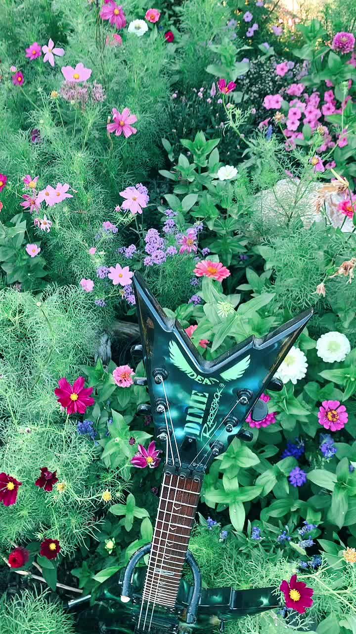 @Garden alive