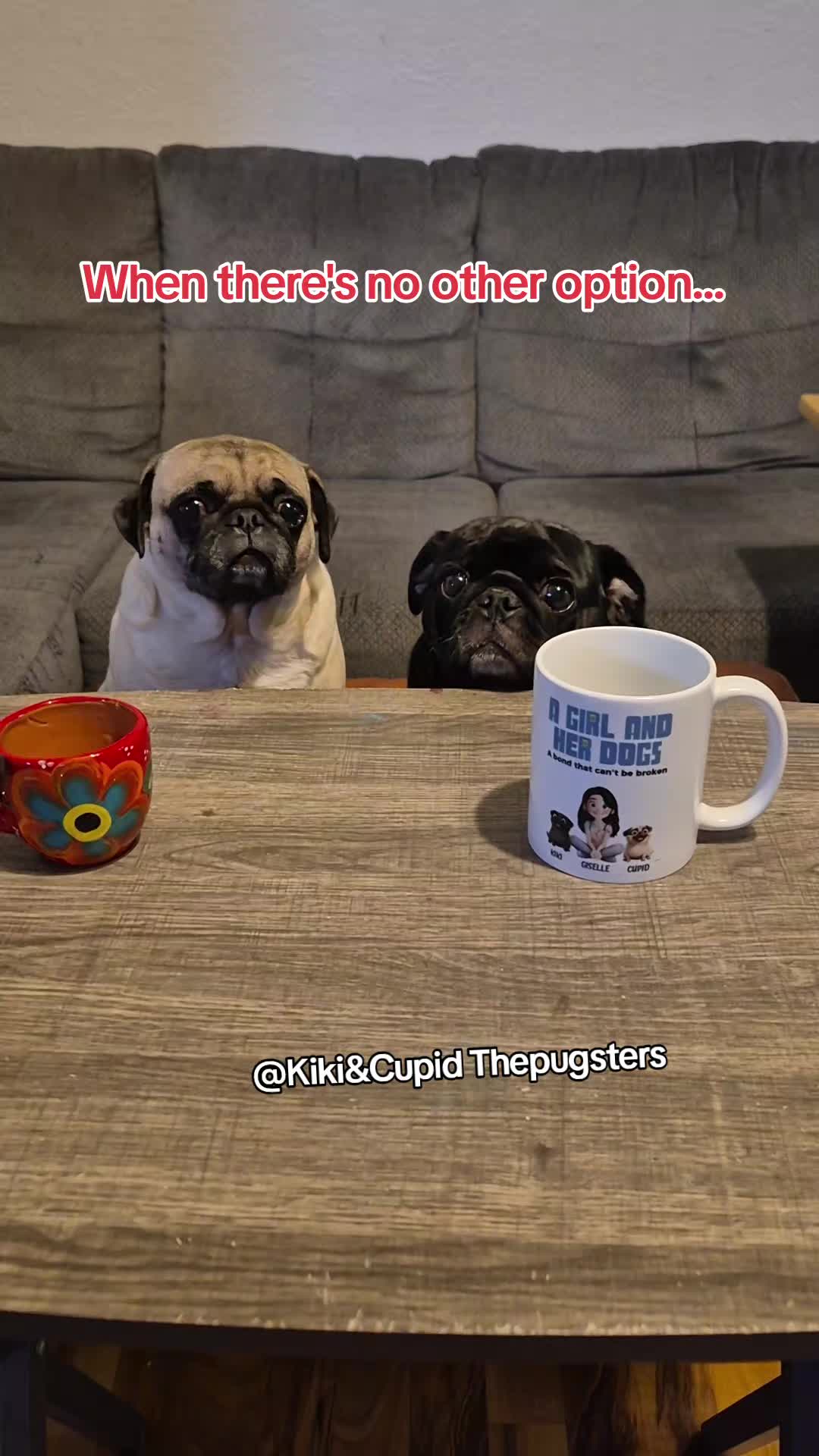 @Kiki&Cupid Thepugster