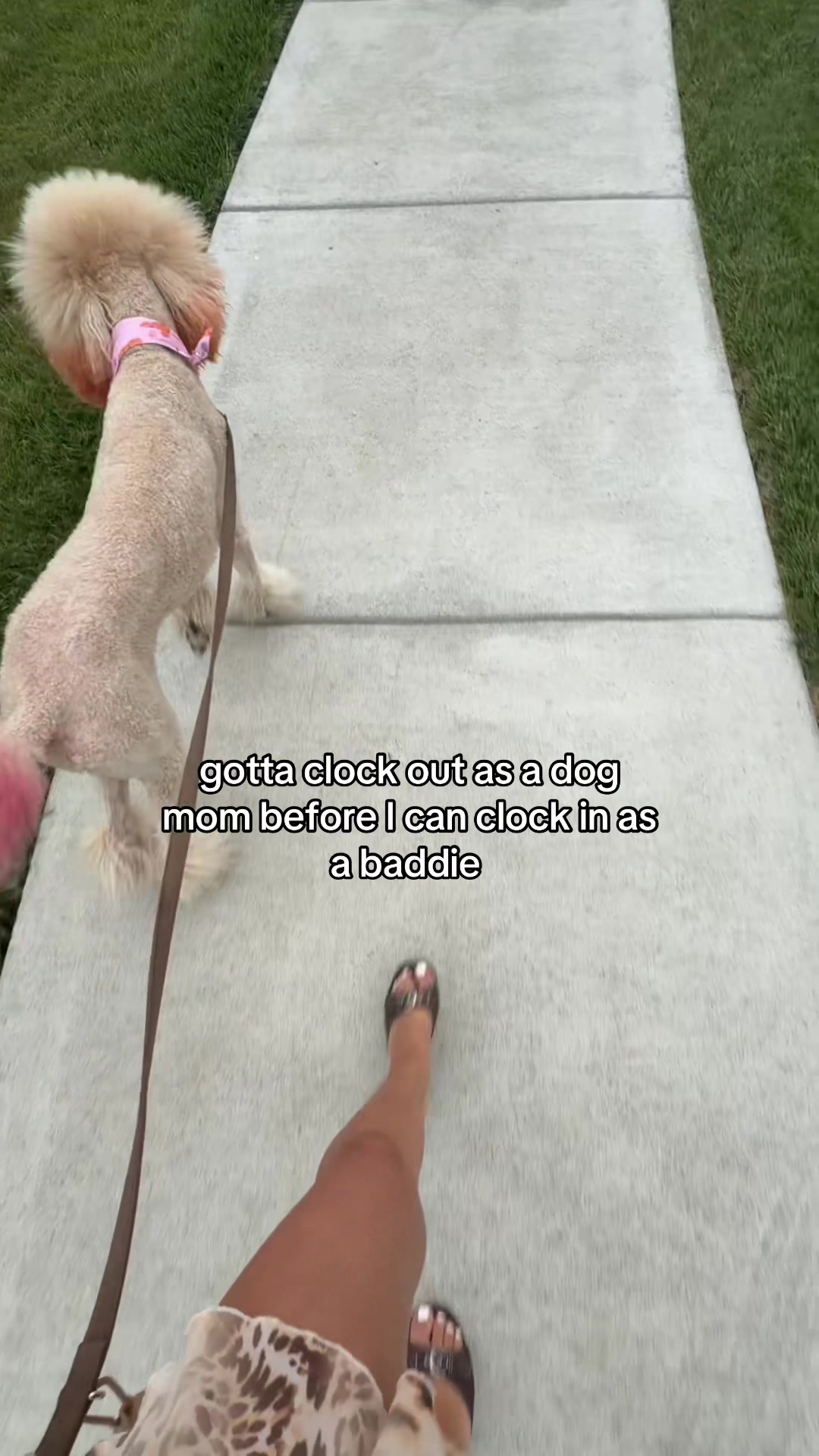 @Maya