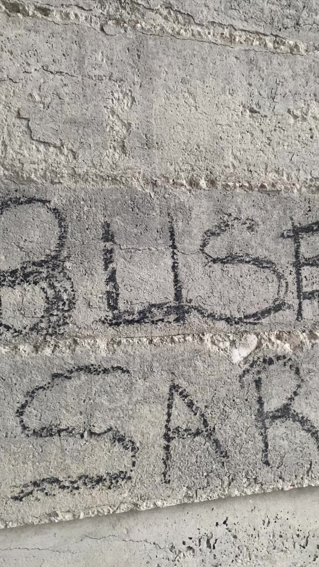 @busesr1