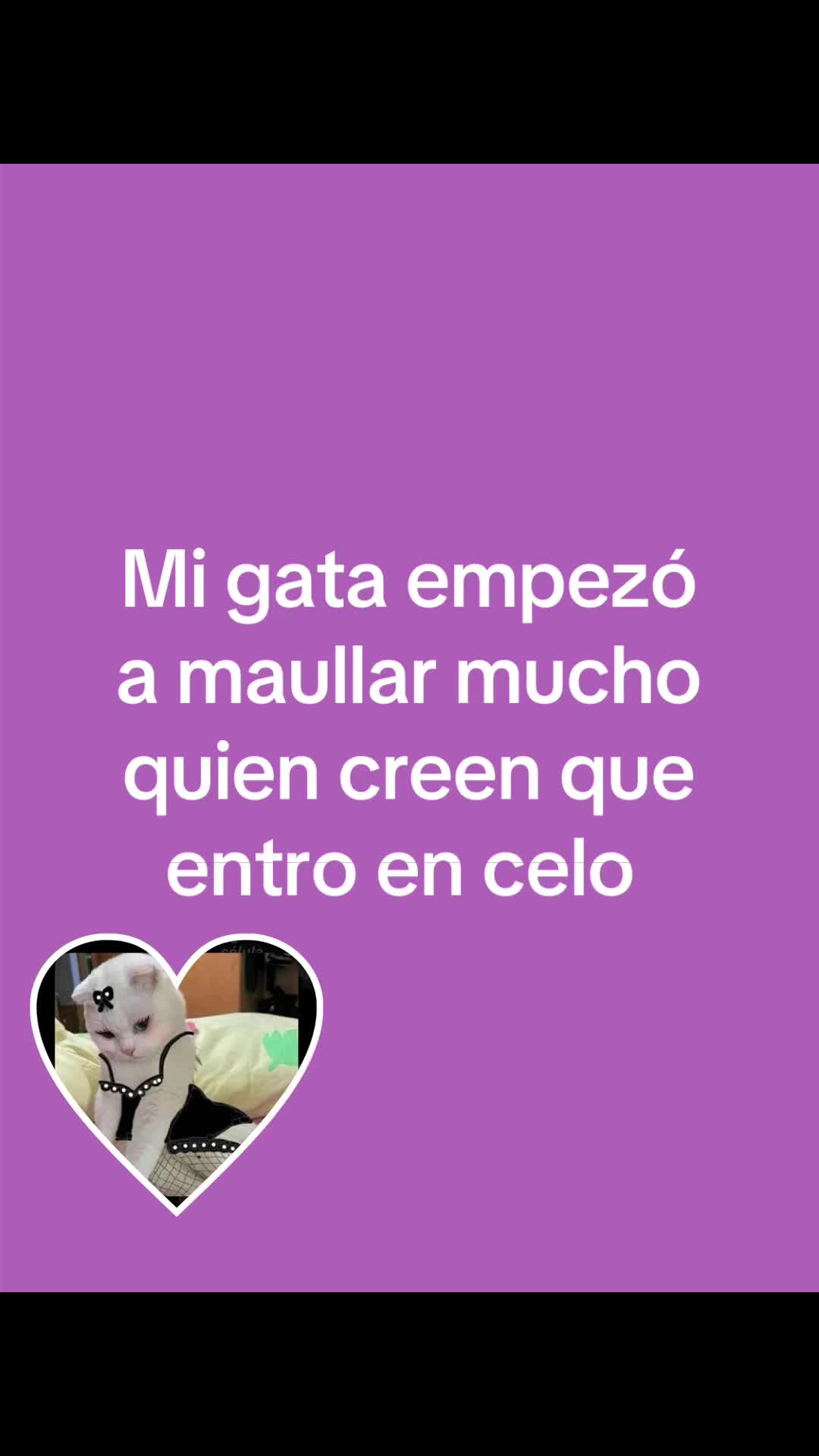 @✨Jhoany Bonilla✨