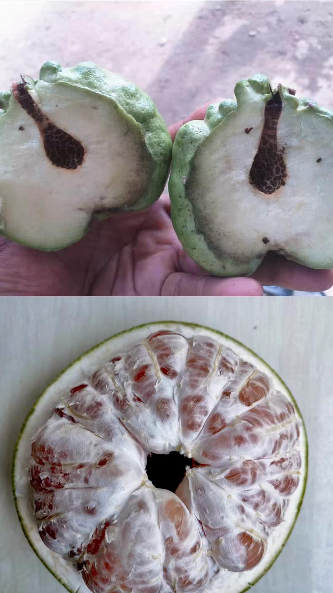 @"PakTani Atim"