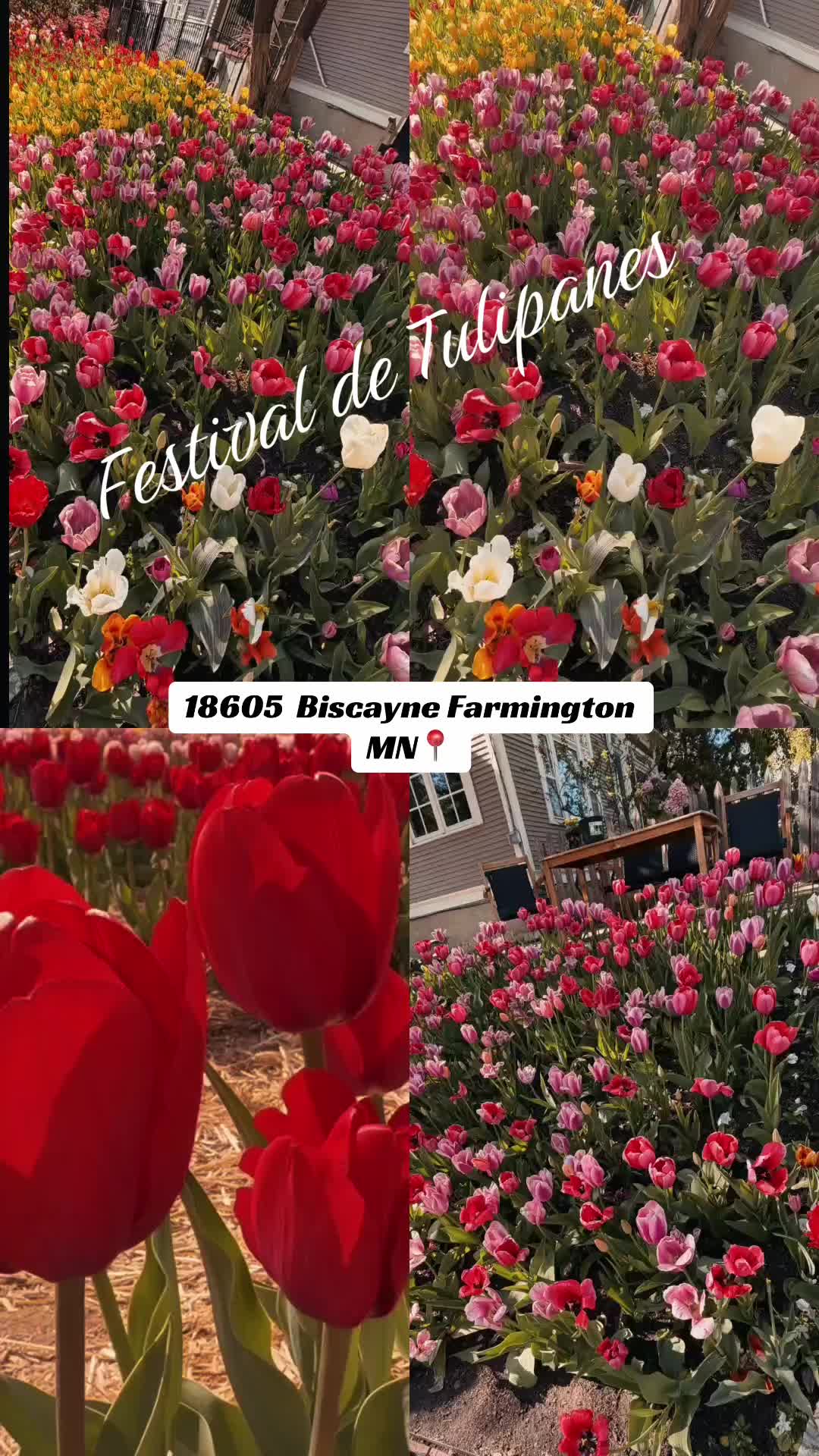 @LUPITA ⏳