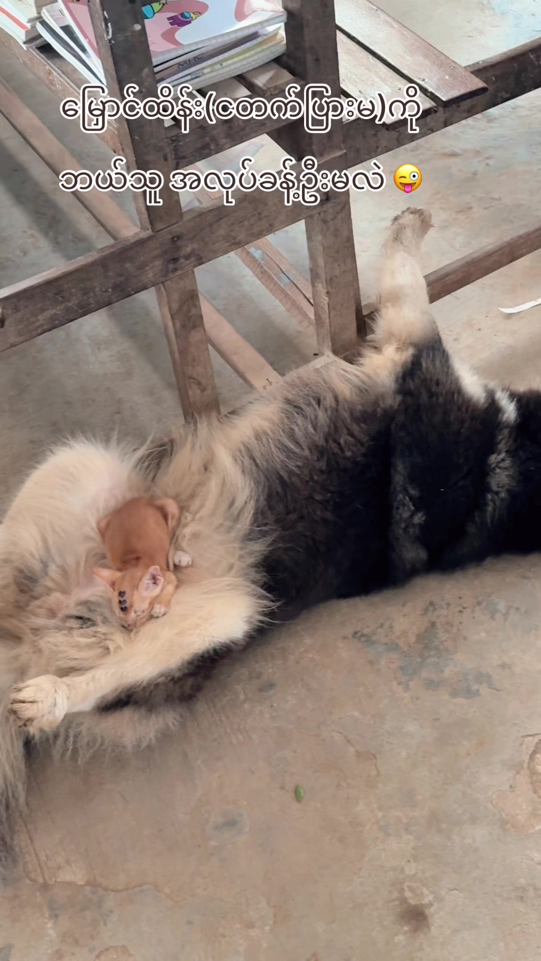 @Khin Nyein Chan