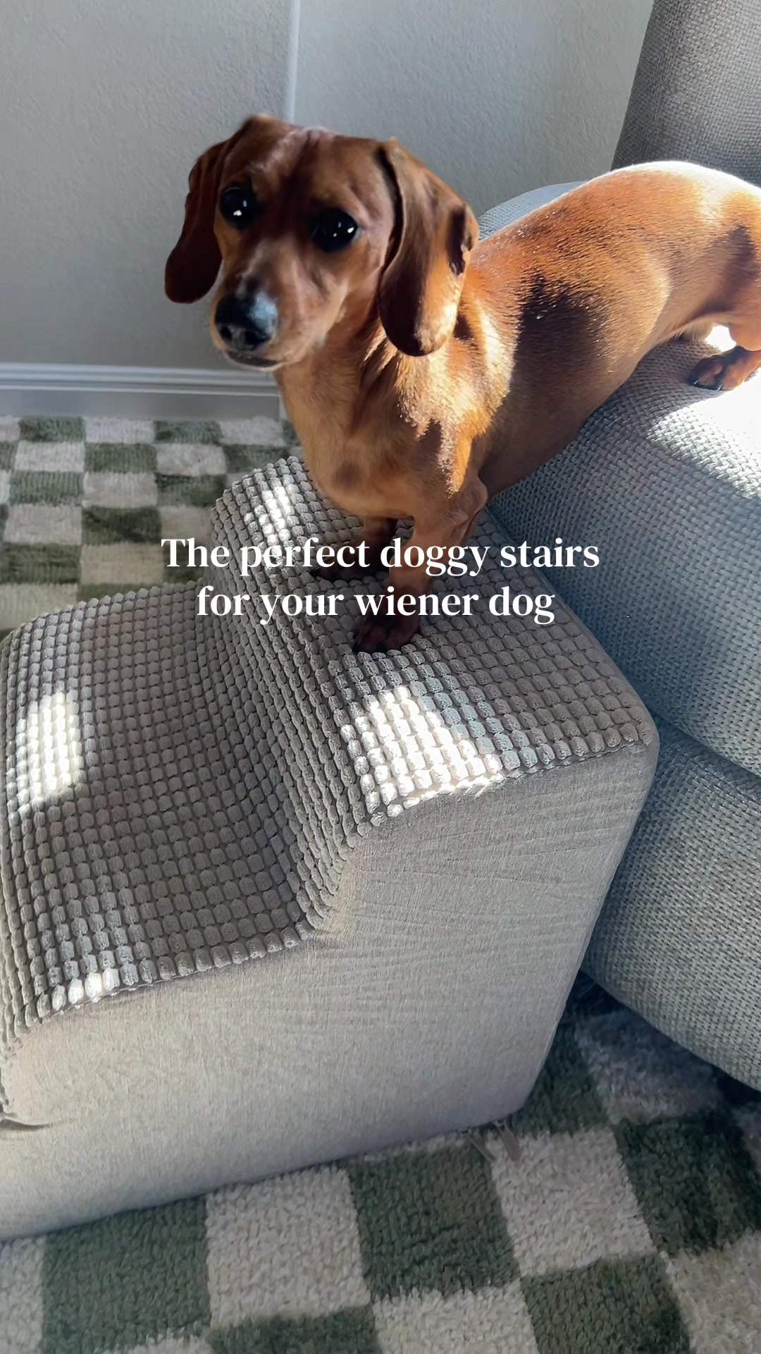 @Slinky Severus-Doo