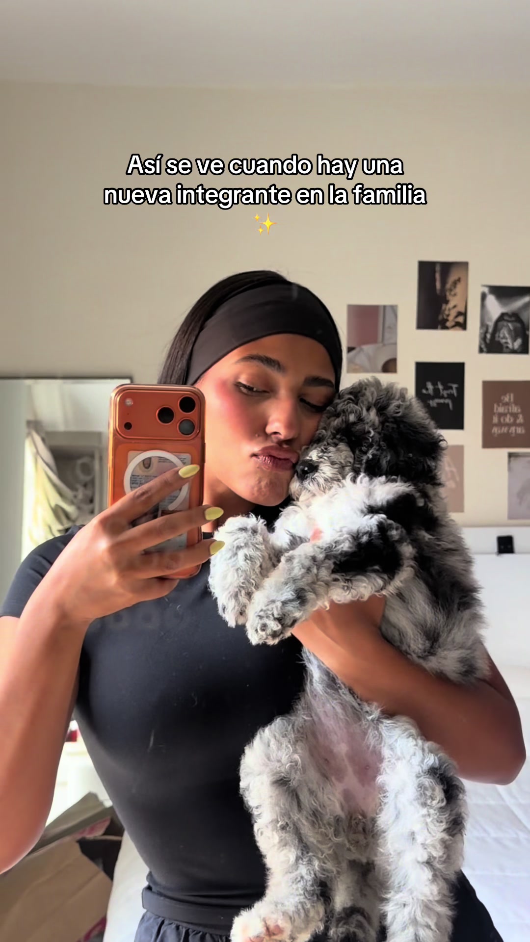 @hallelgenesis
