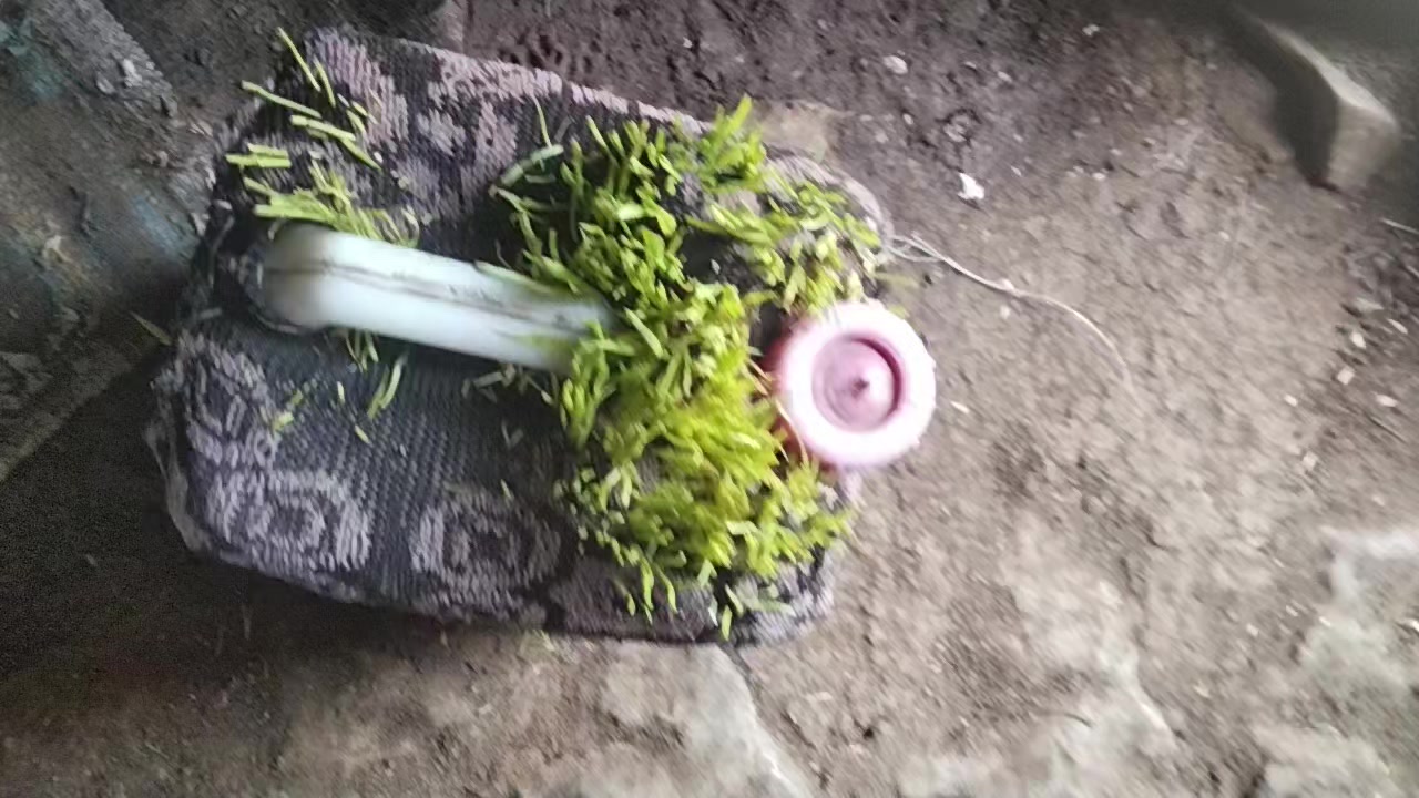 @جمال بالعباسي