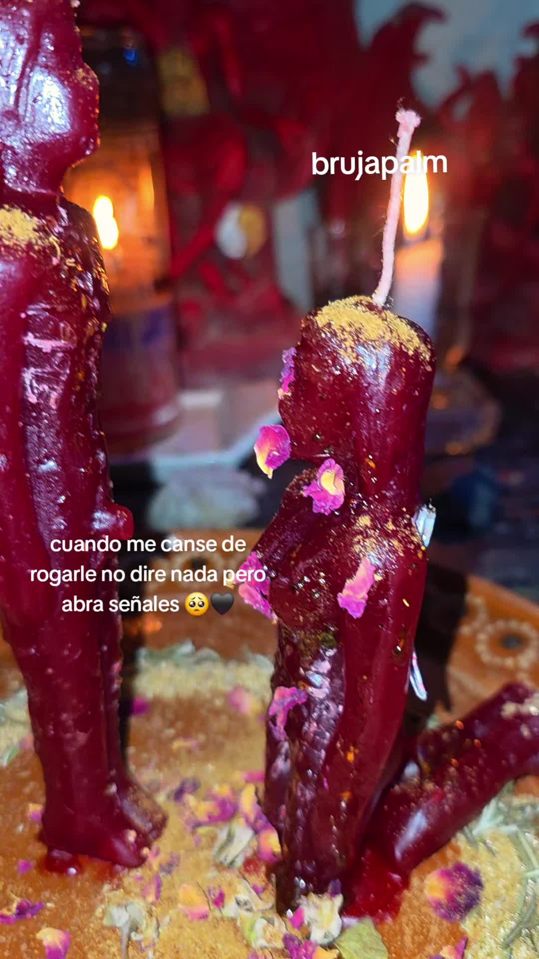 @bruja🧙&zwj;♀️🔮palm.