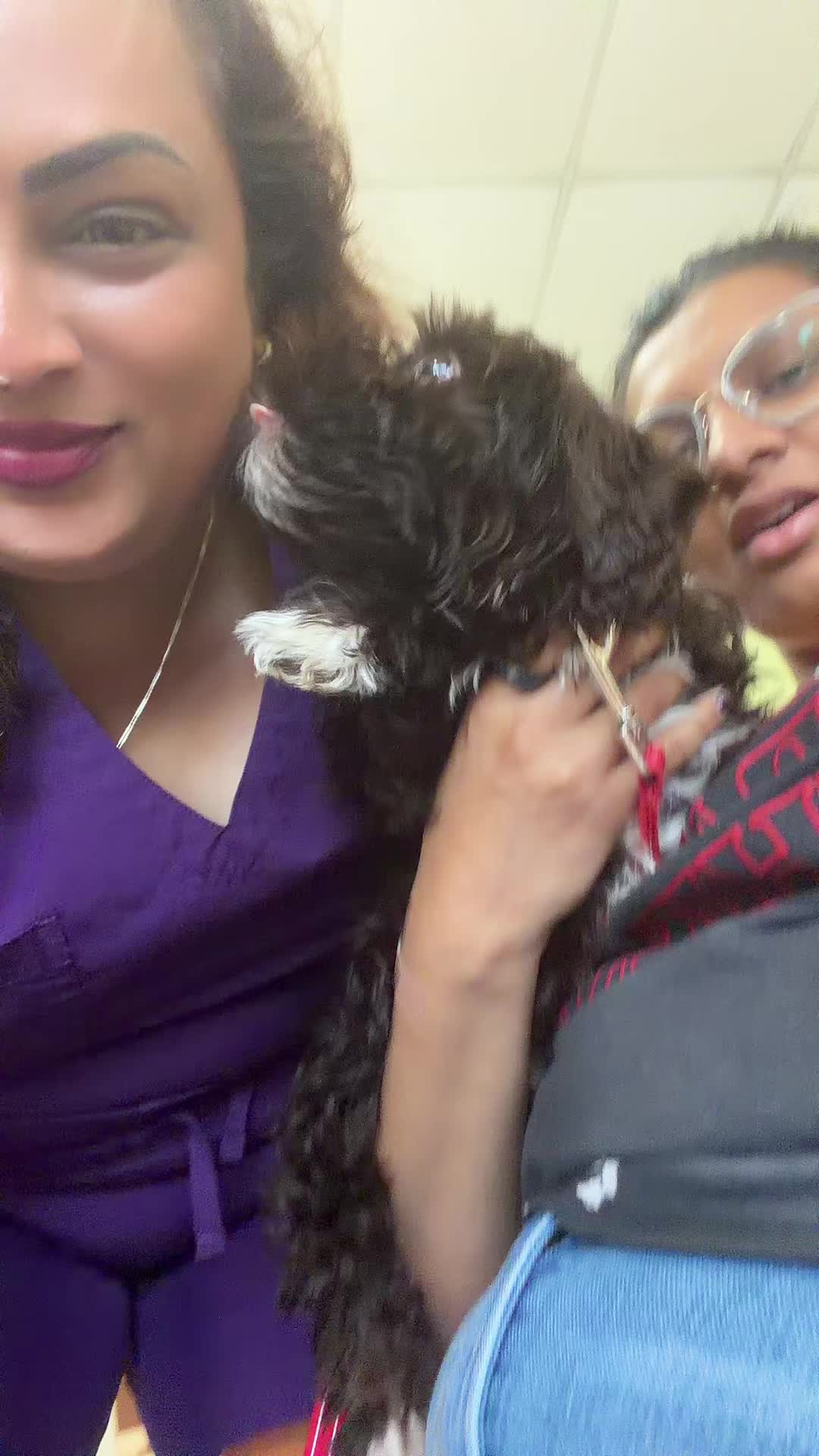 @Dhingli