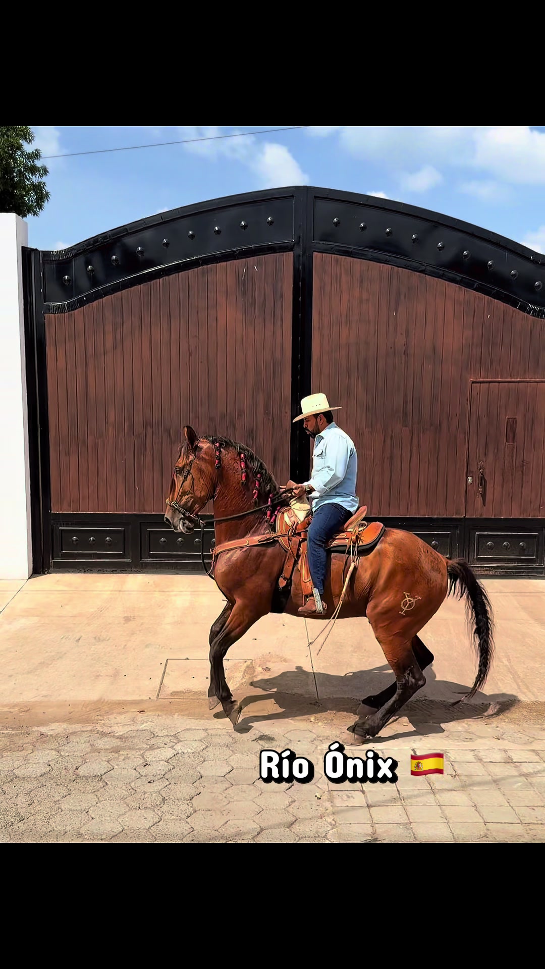 @Rancho los Arcos