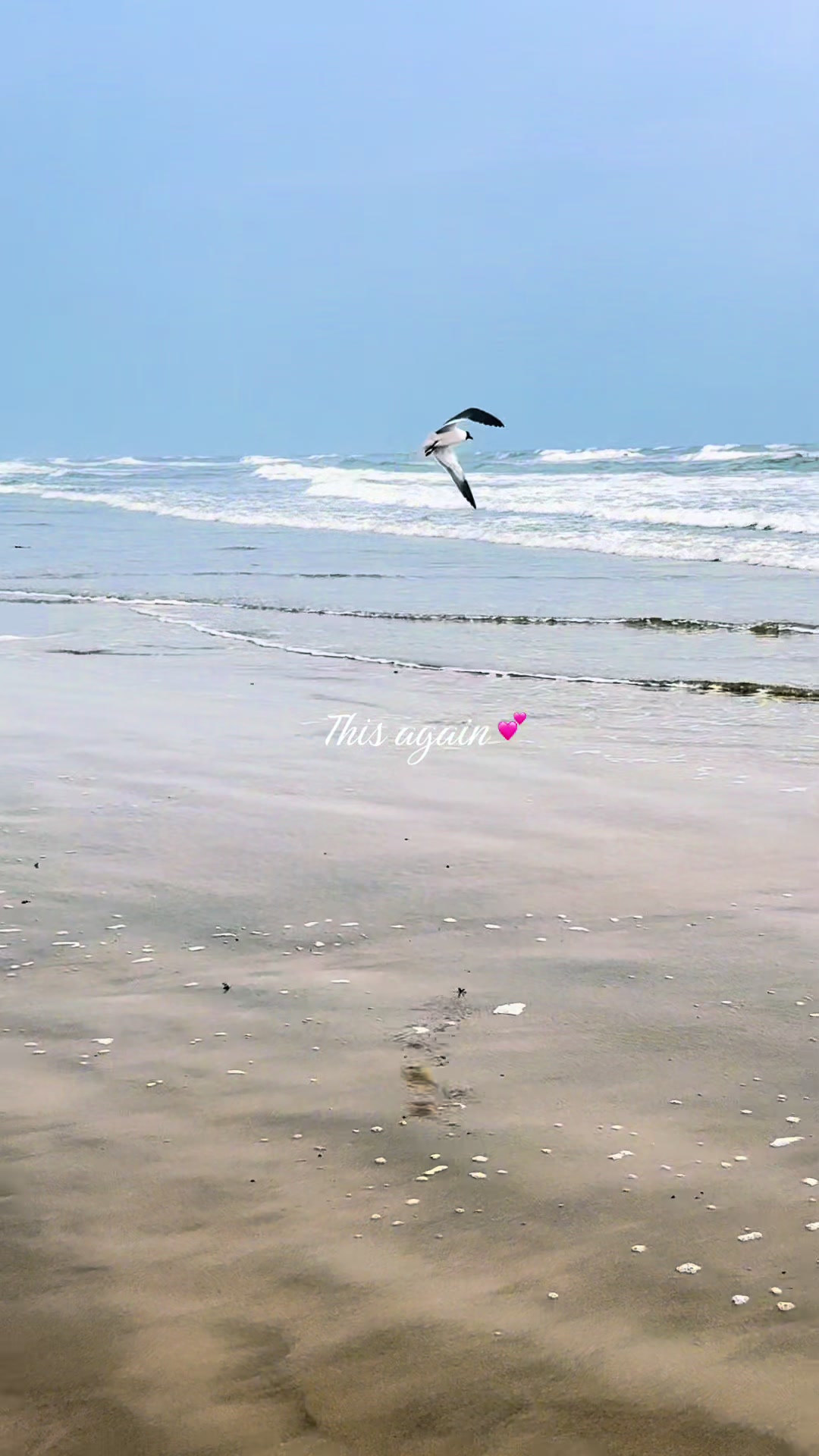 @miadlynn0454
