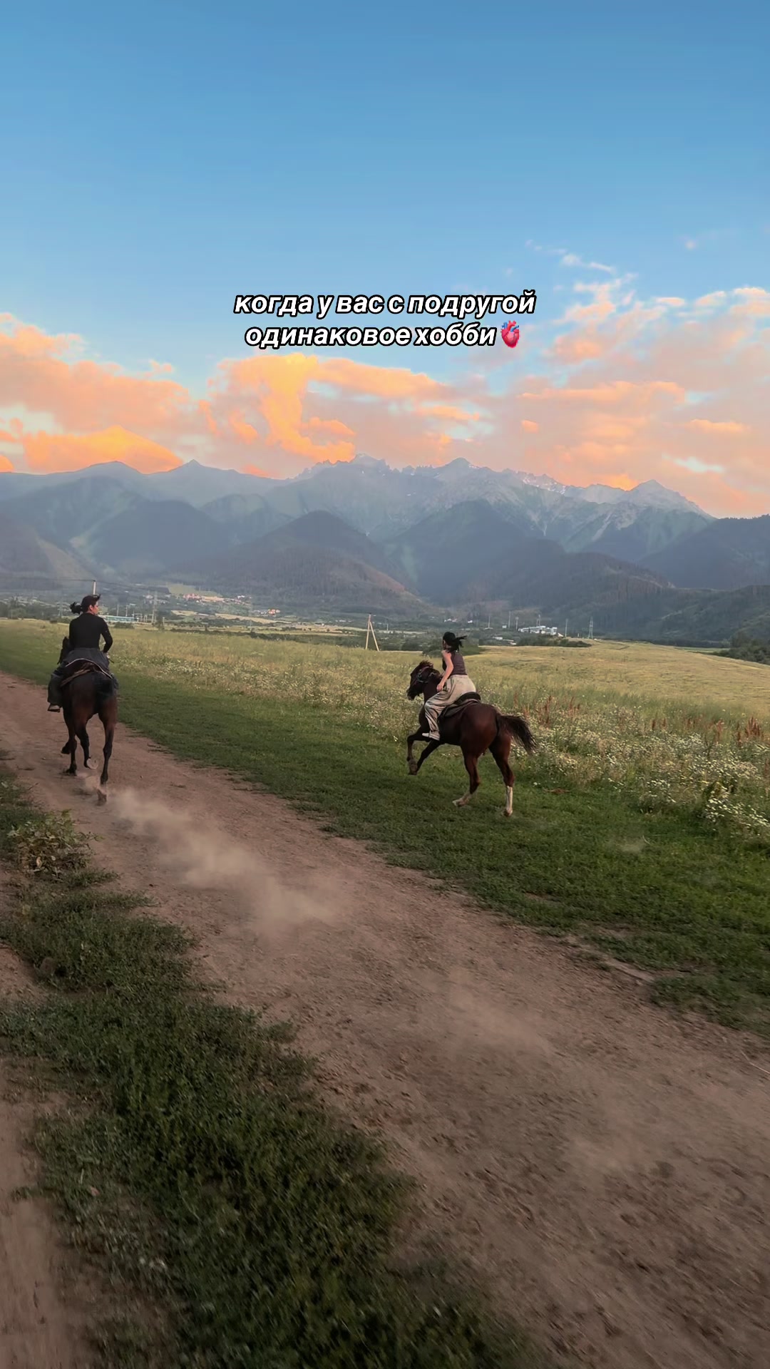 @akshatau_horses