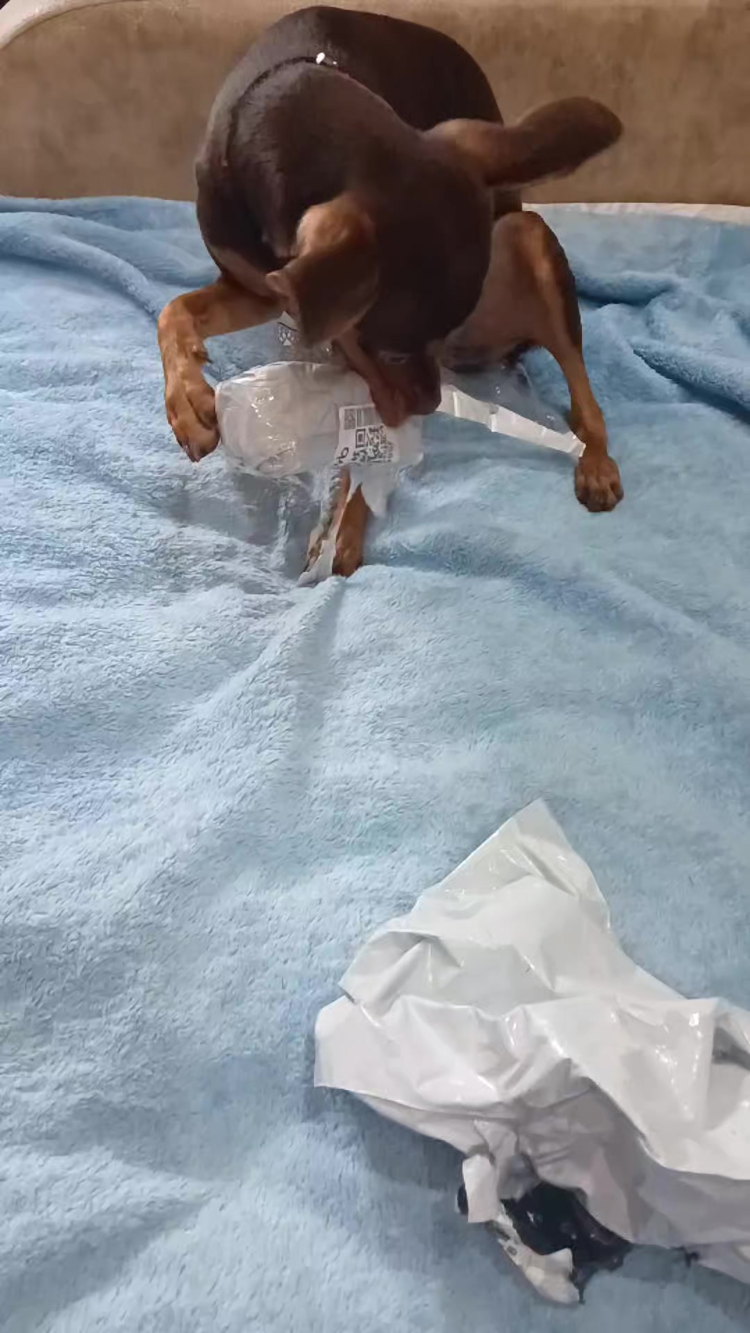@Бонимиро
