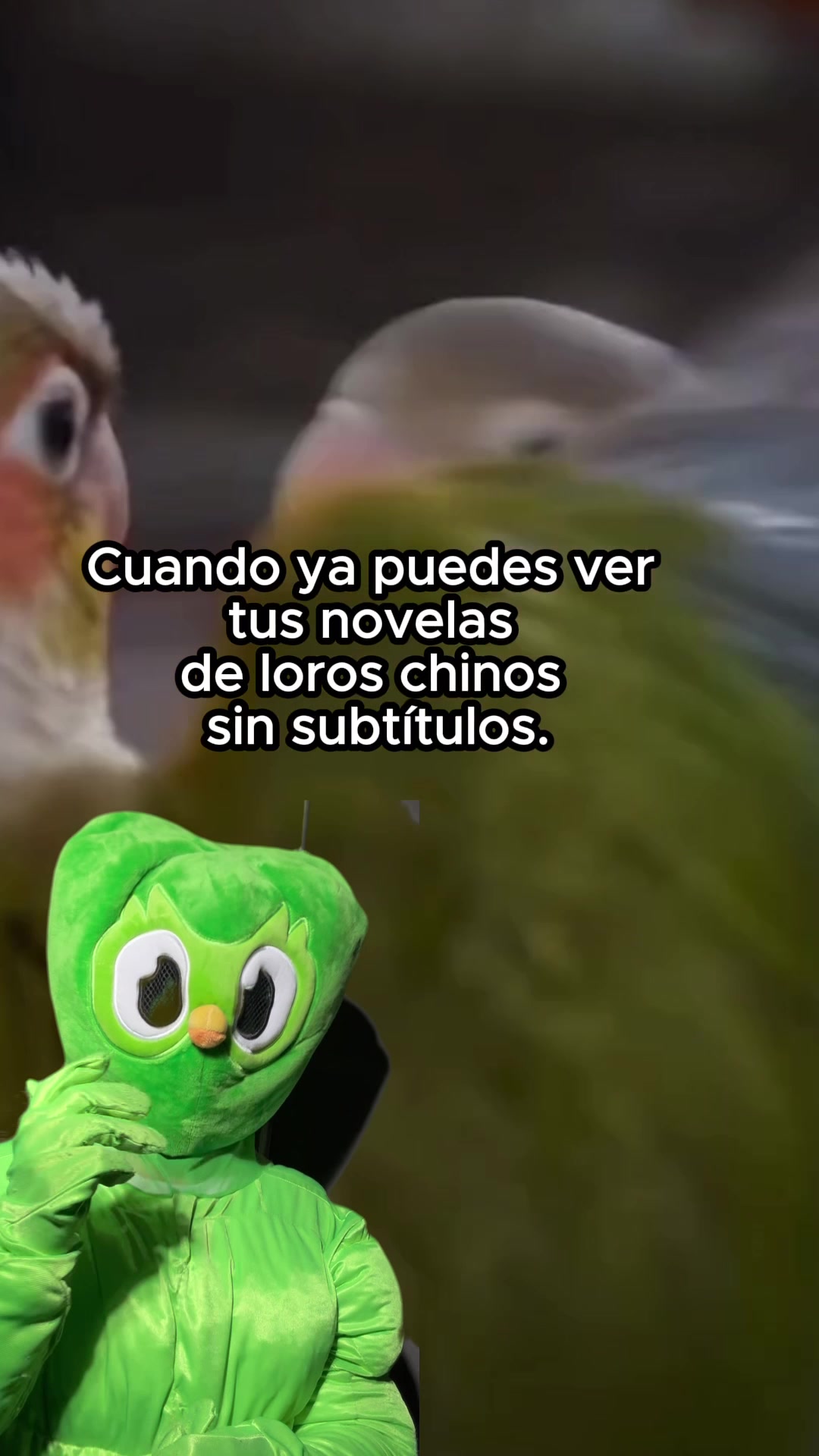 @DuolingoEspanol